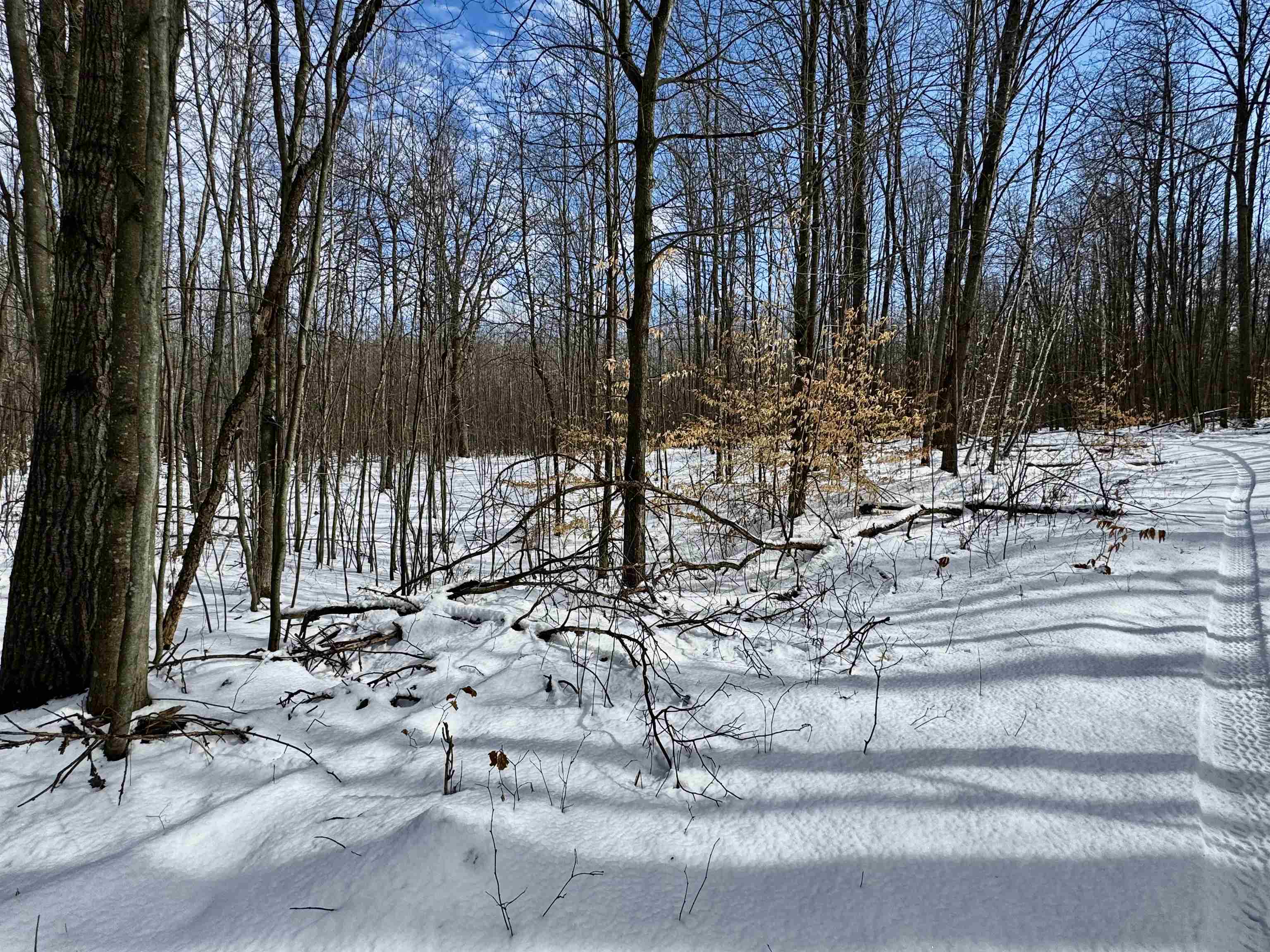 1350 Birch Road, Harrison, MI, 48625