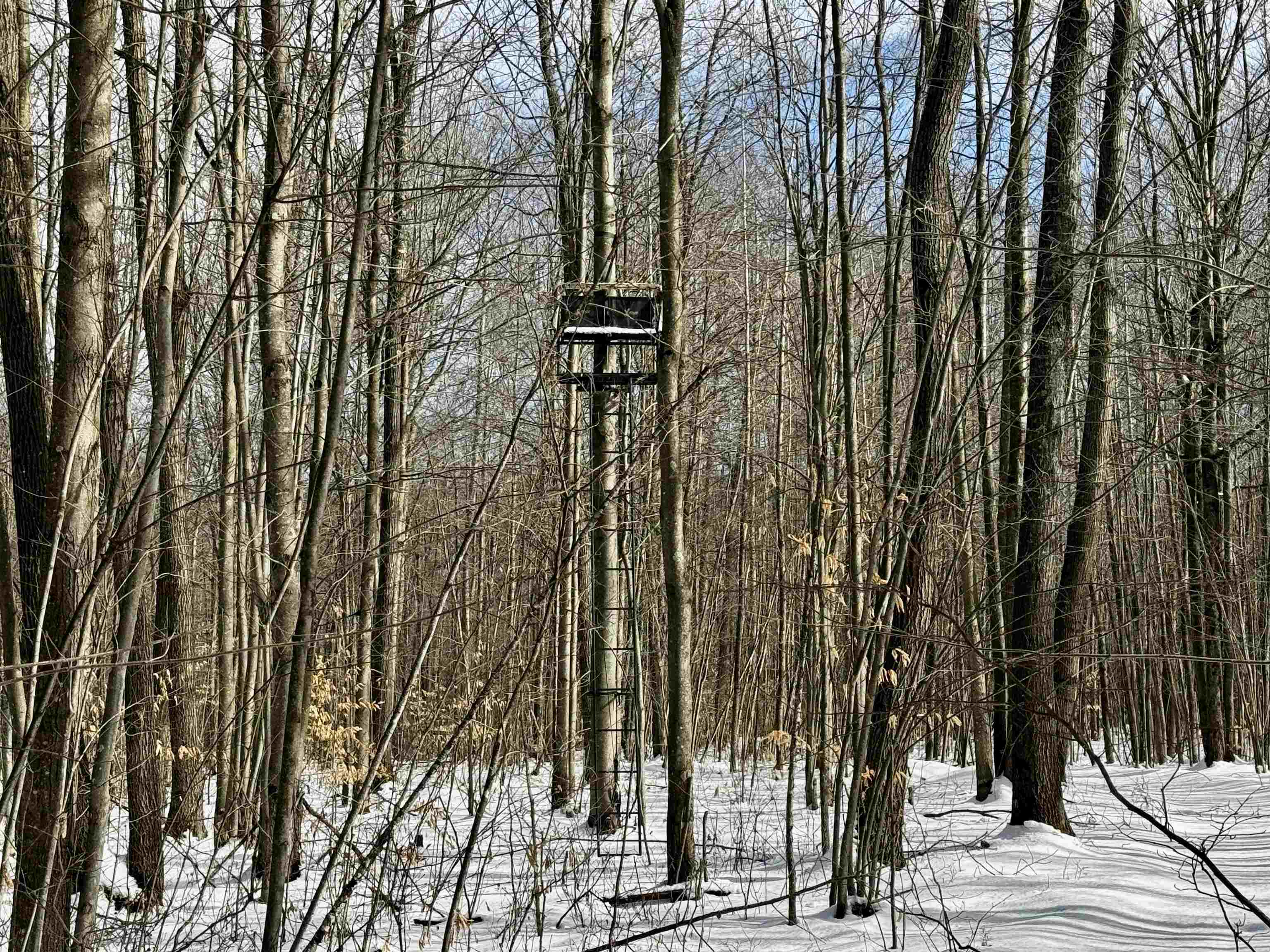 1350 Birch Road, Harrison, MI, 48625