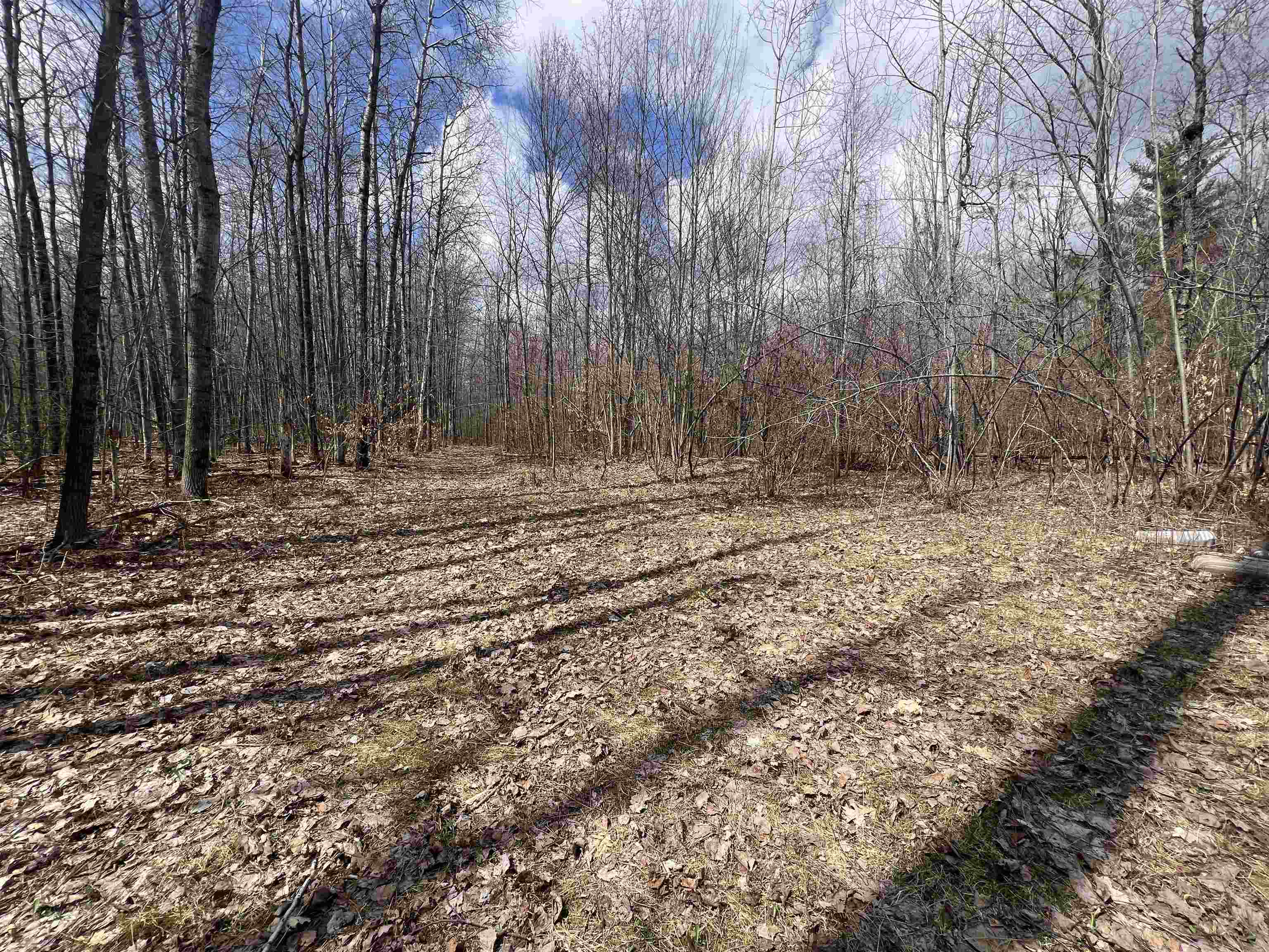 1350 Birch Road, Harrison, MI, 48625