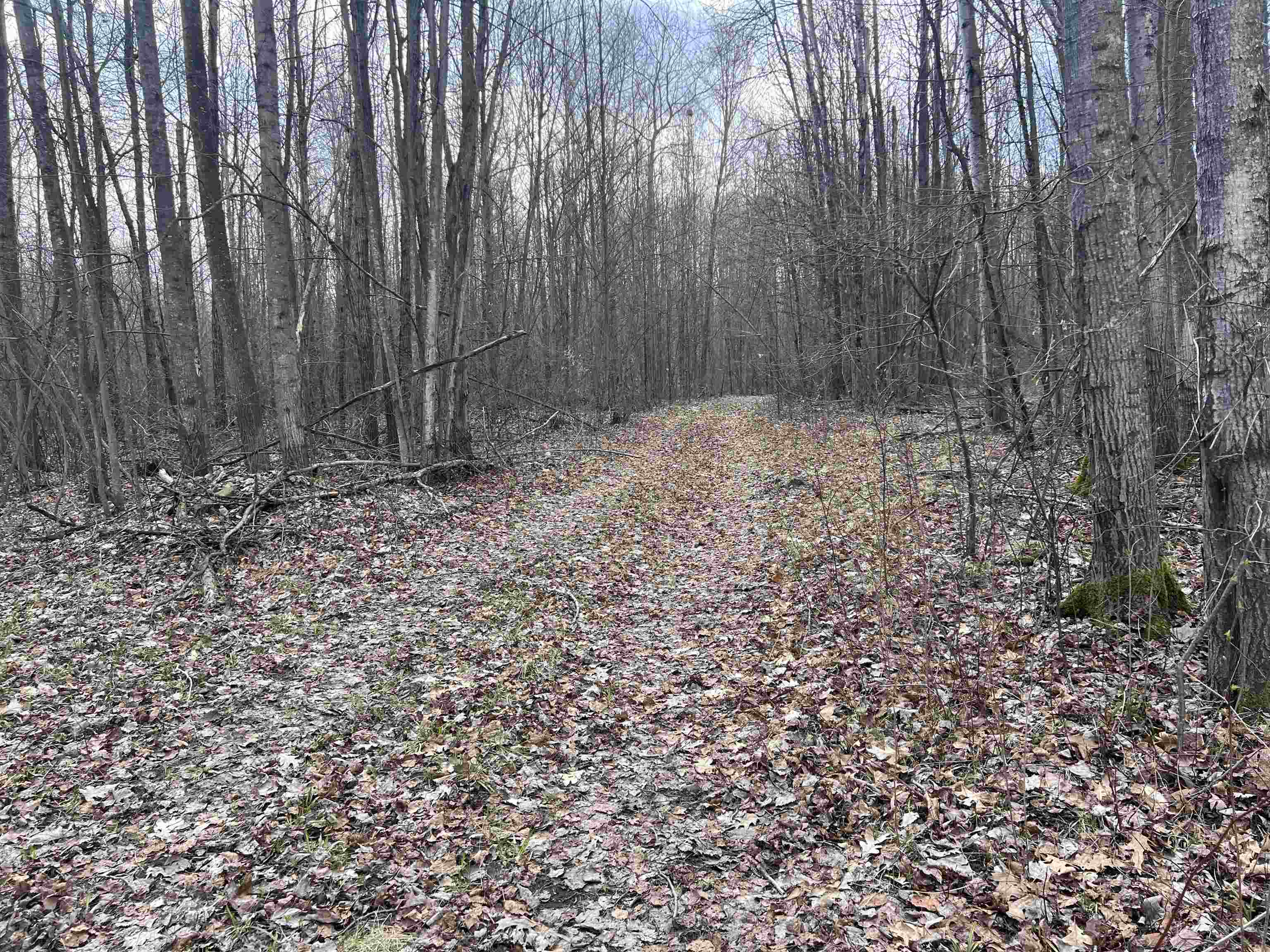 1350 Birch Road, Harrison, MI, 48625