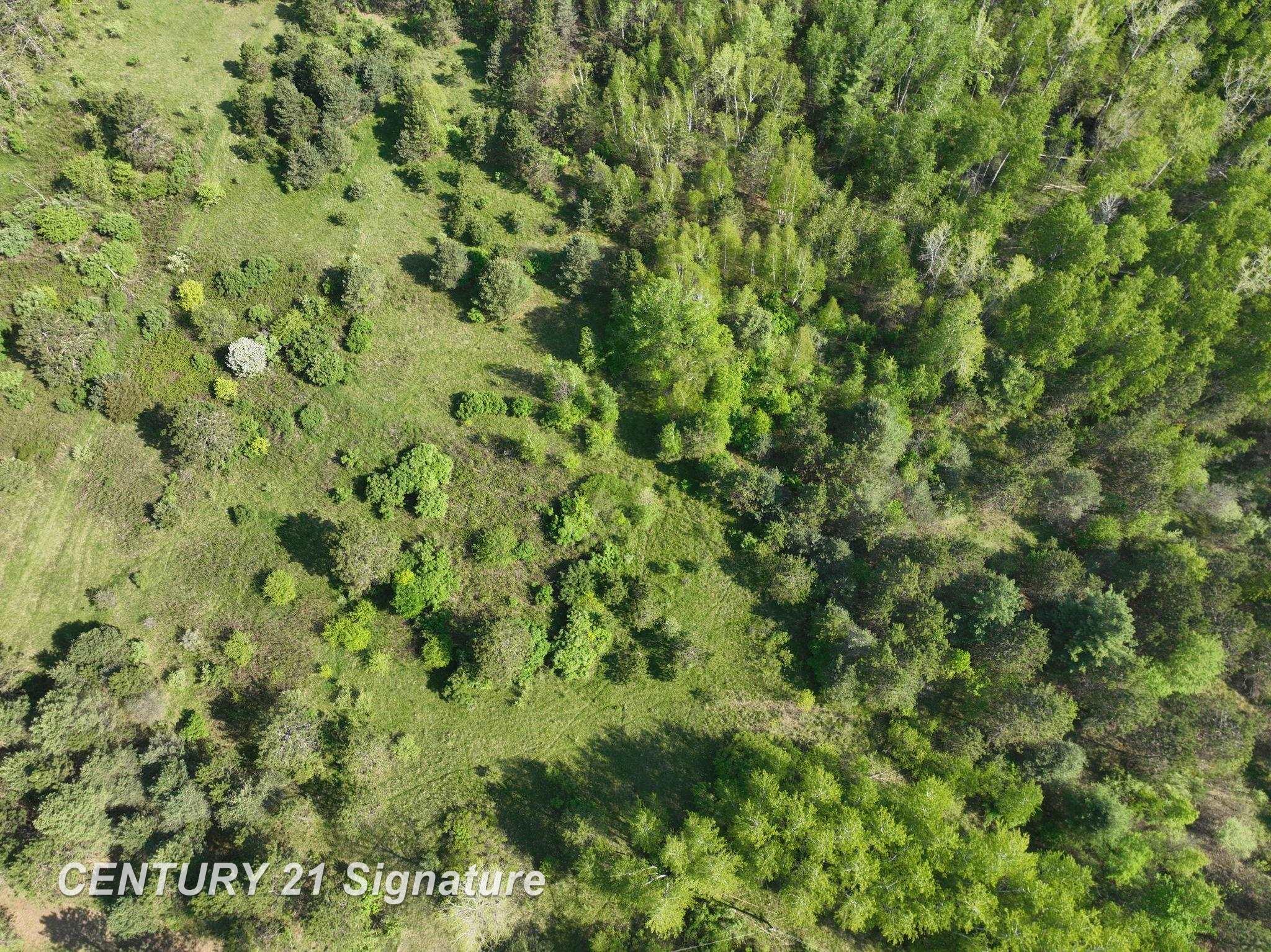 VL Lang Road, Beaverton, MI, 48612