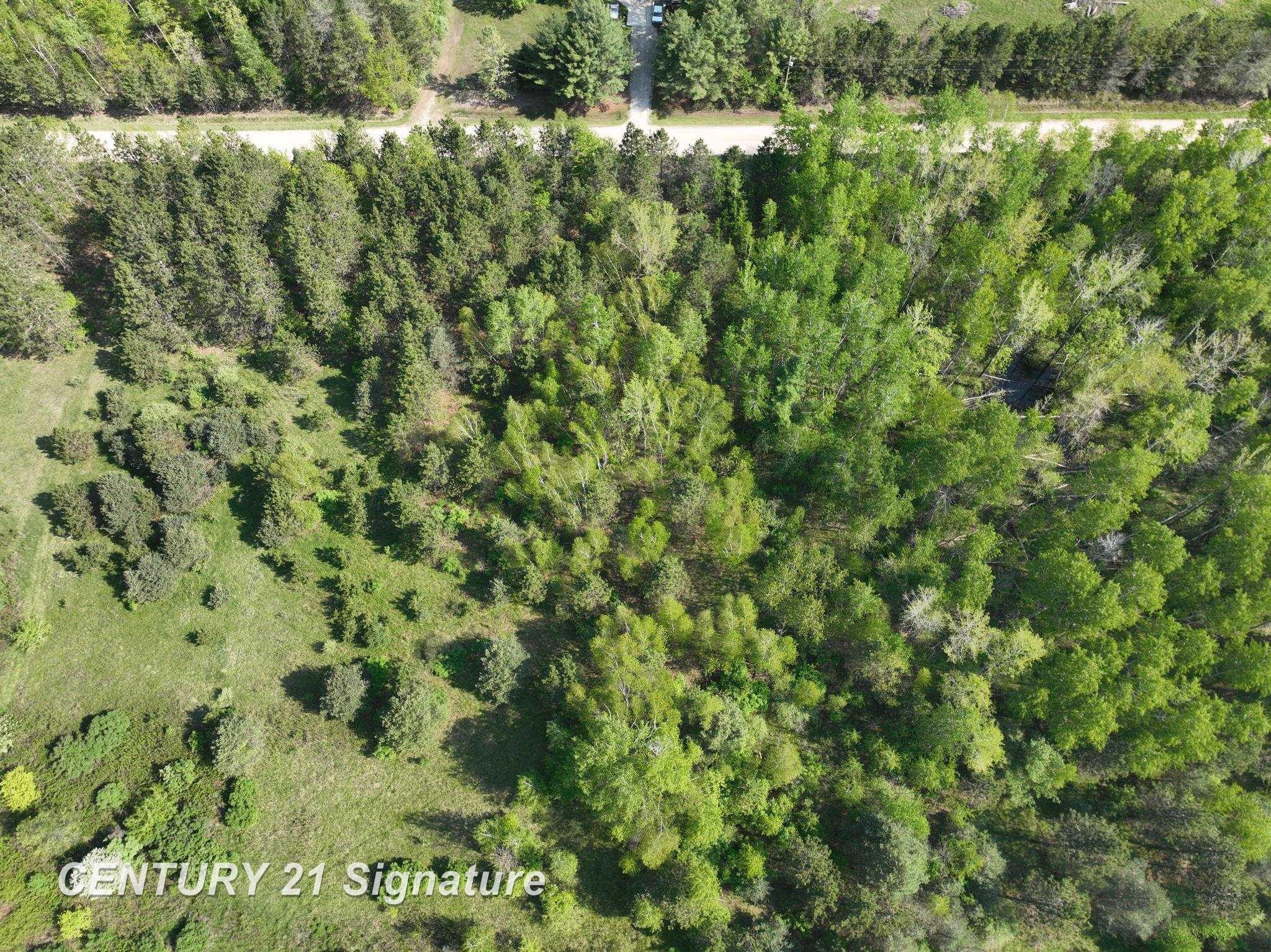 VL Lang Road, Beaverton, MI, 48612