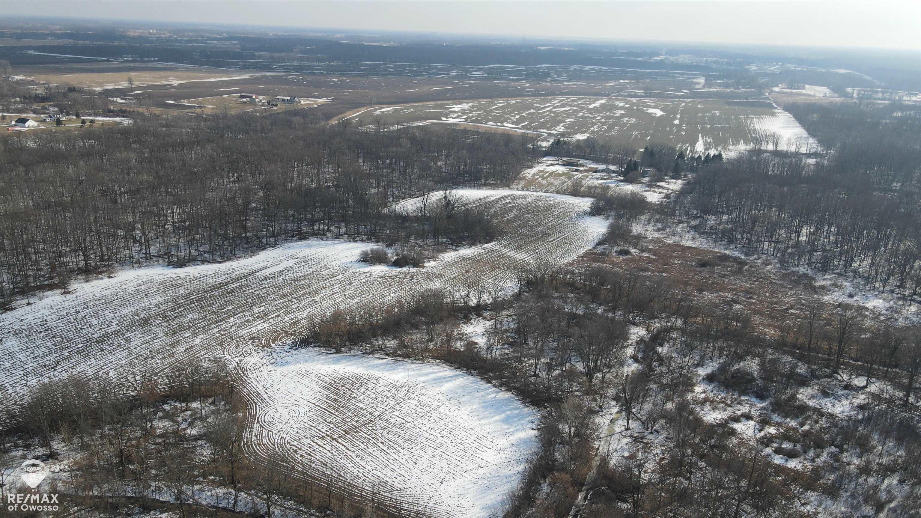 Homes for sale in Perry, MI | Lovejoy Rd, Perry, MI 48872 | MLS# 50201964