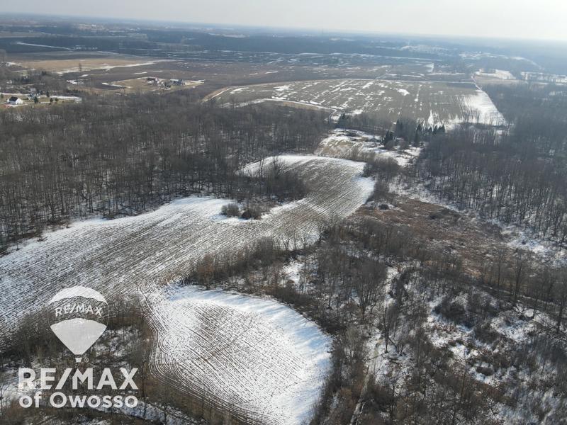 Homes for sale in Perry, MI | Lovejoy Rd, Perry, MI 48872 | MLS# 50201964