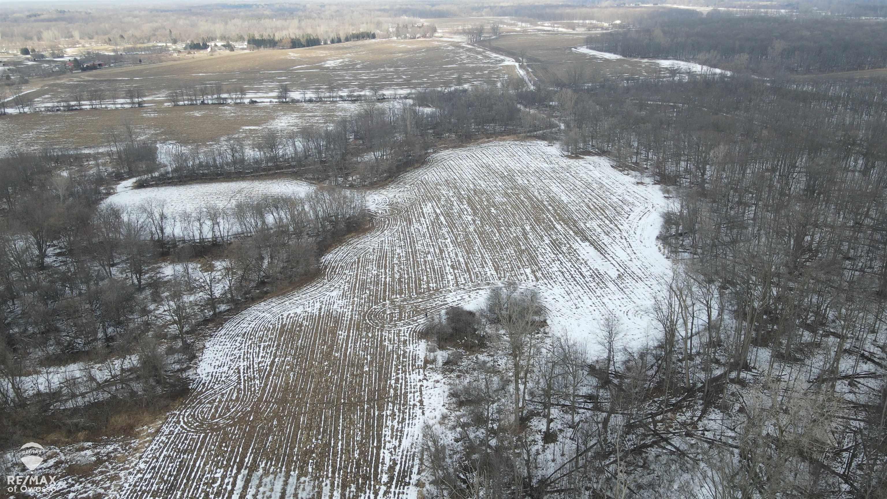 Homes for sale in Perry, MI | Lovejoy Rd, Perry, MI 48872 | MLS# 50201964