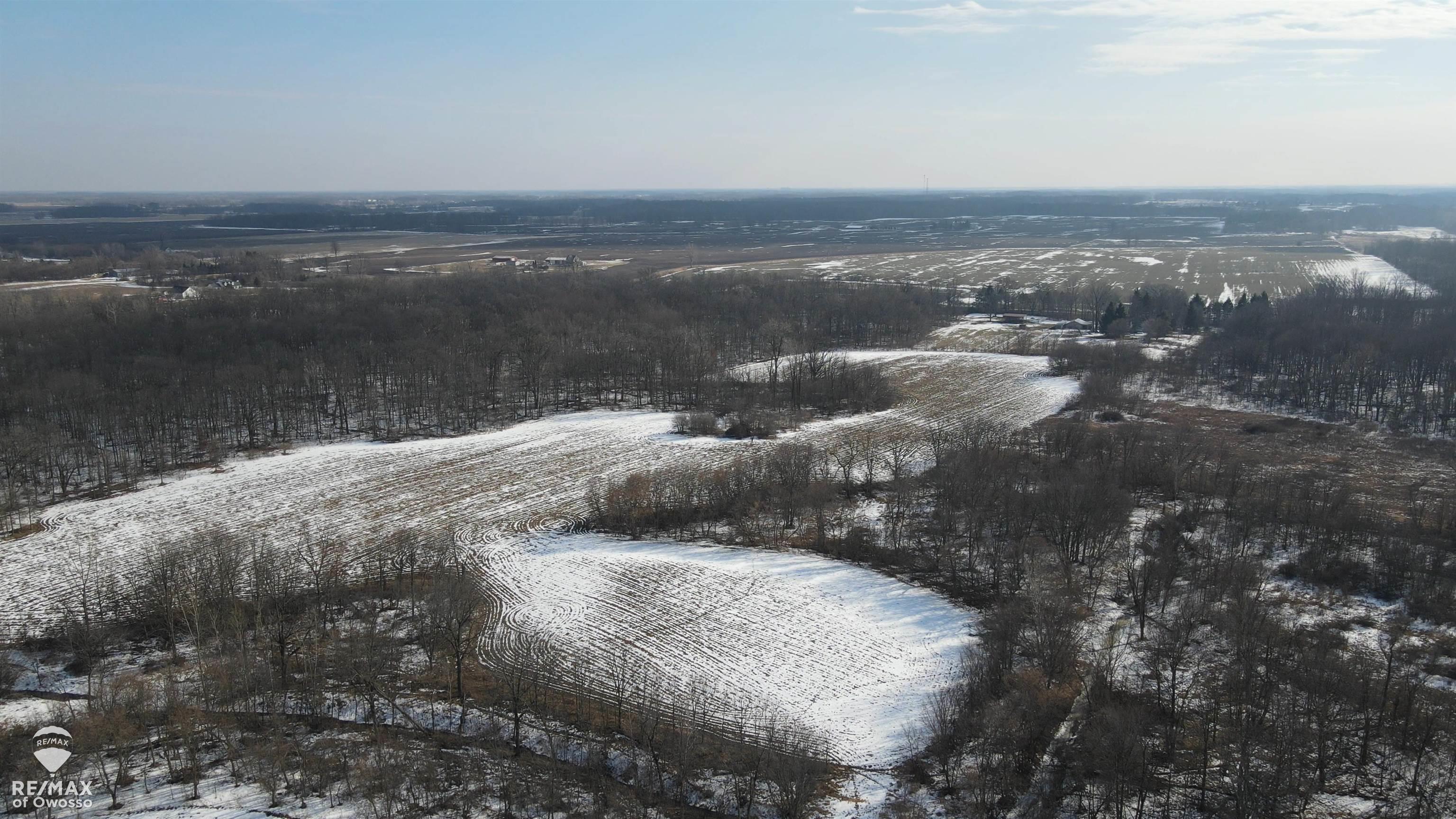 Homes for sale in Perry, MI | Lovejoy Rd, Perry, MI 48872 | MLS# 50201964