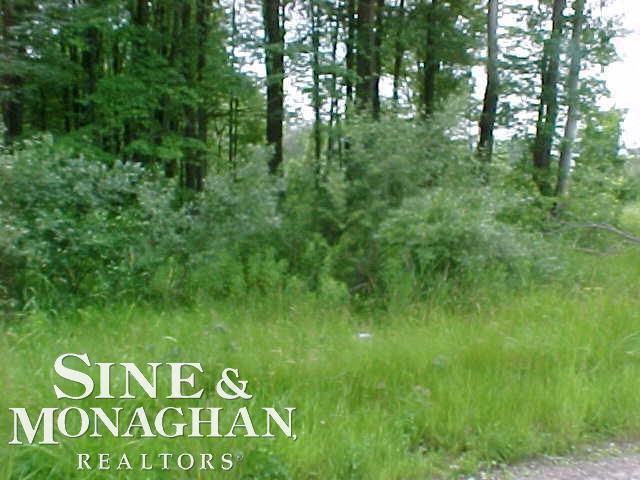 8101-8111 Adair Road, Adair, MI, 48064