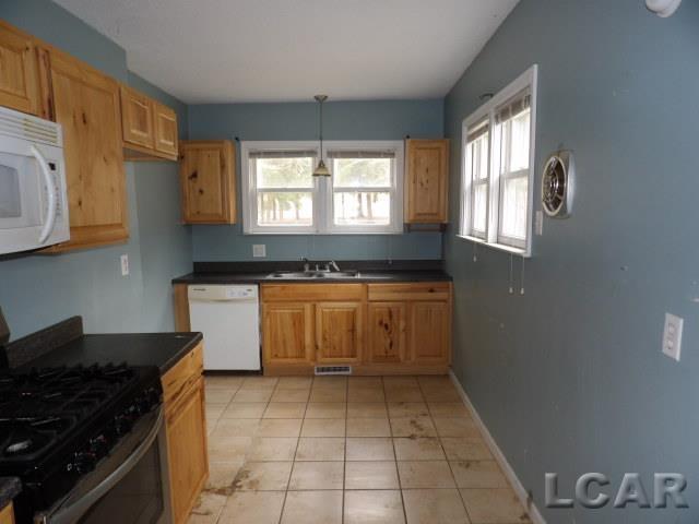 349 Greenly Street, Adrian, MI, 49221