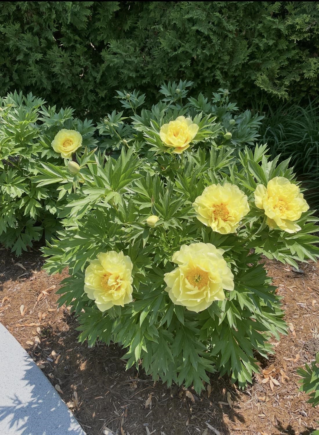 700 Park Avenue, Bay City, MI, 48708