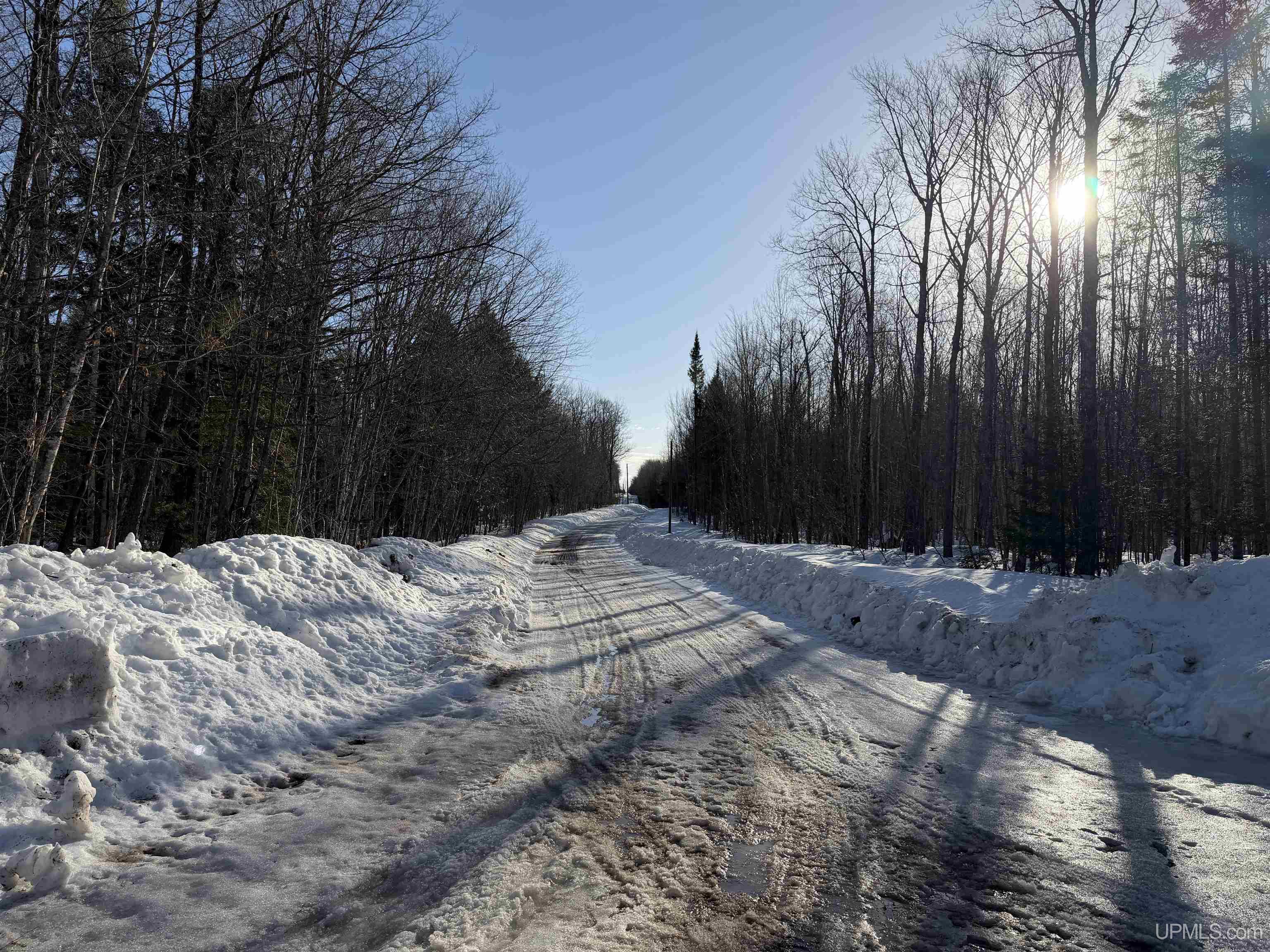 Homes for sale in Skandia, MI | 56 Acres Halverson Rd, Skandia, MI 49885 | MLS# 50202081