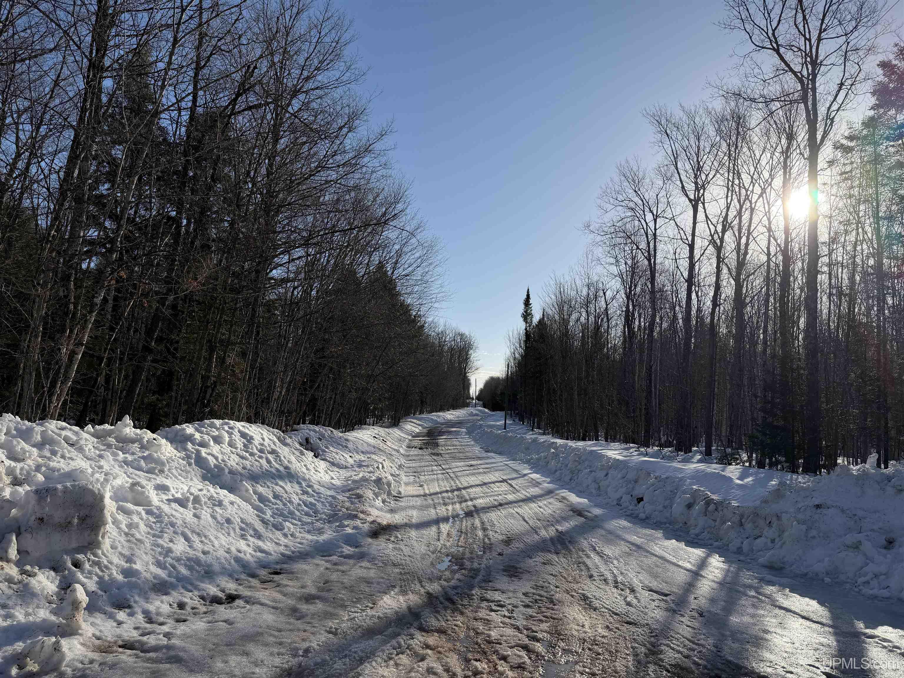 Homes for sale in Skandia, MI | 56 Acres Halverson Rd, Skandia, MI 49885 | MLS# 50202081