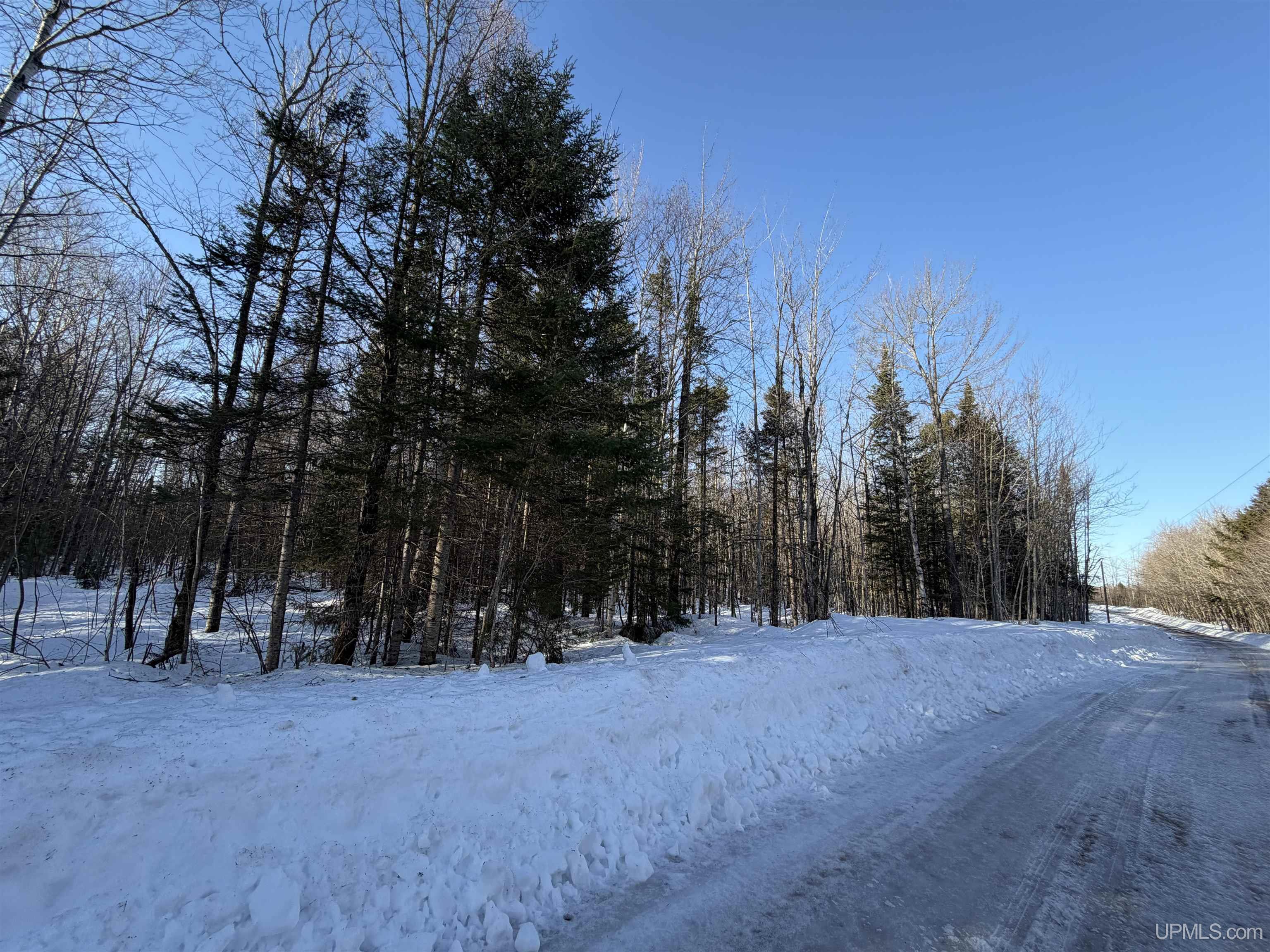 Homes for sale in Skandia, MI | 56 Acres Halverson Rd, Skandia, MI 49885 | MLS# 50202081