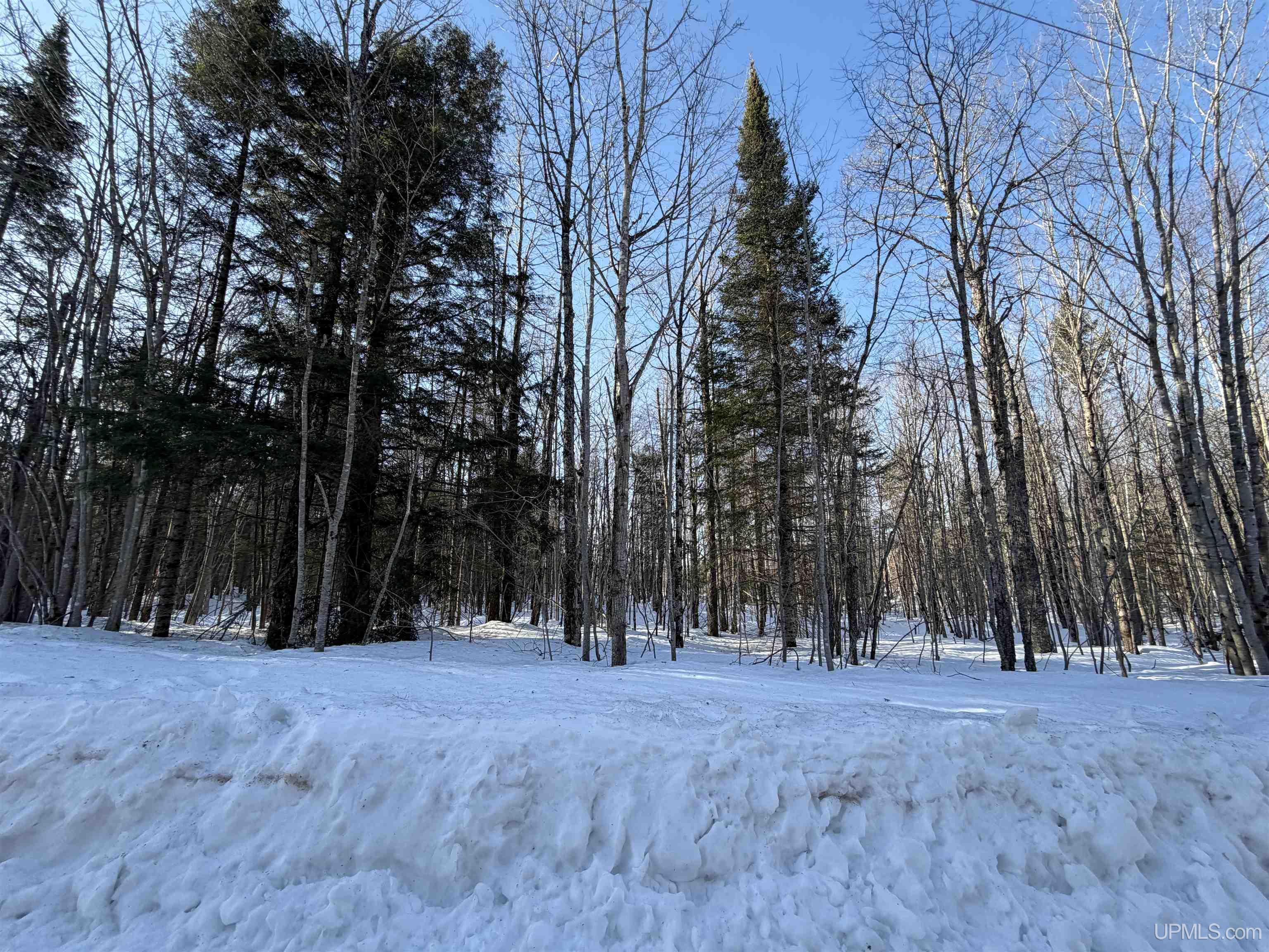 Homes for sale in Skandia, MI | 56 Acres Halverson Rd, Skandia, MI 49885 | MLS# 50202081