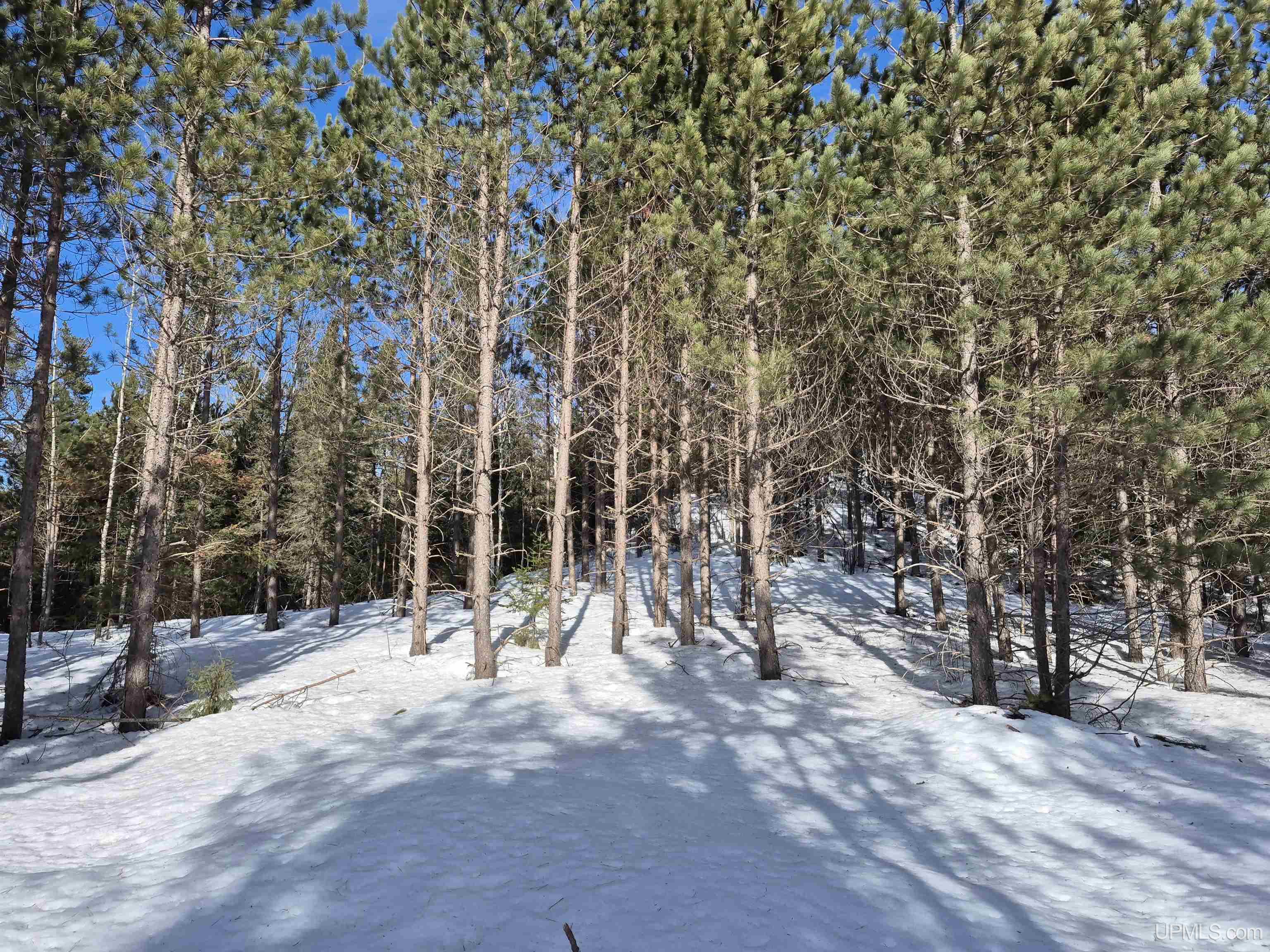 40 Acres Off County Cv Road, Champion, MI, 49814