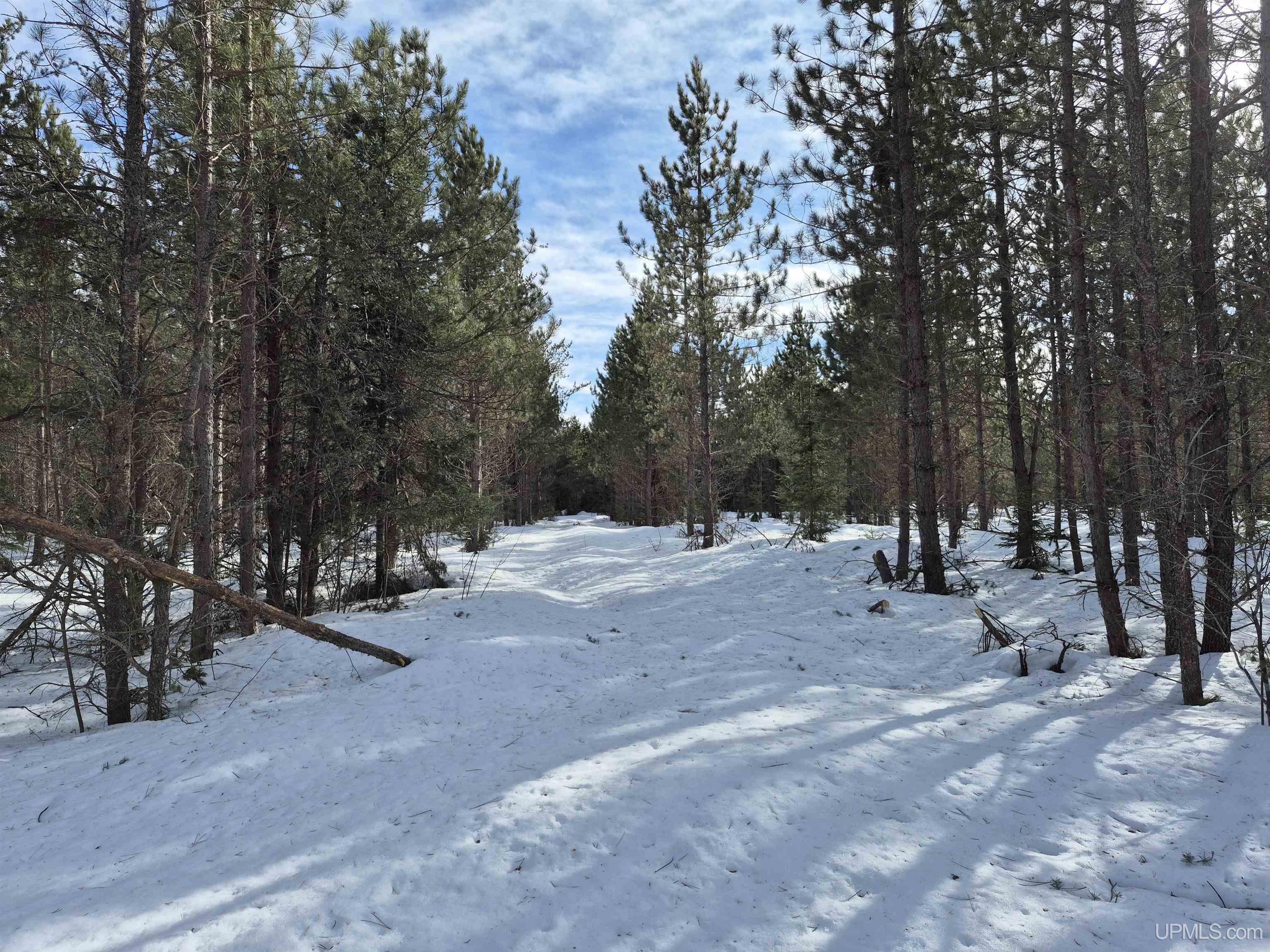 40 Acres Off County Cv Road, Champion, MI, 49814