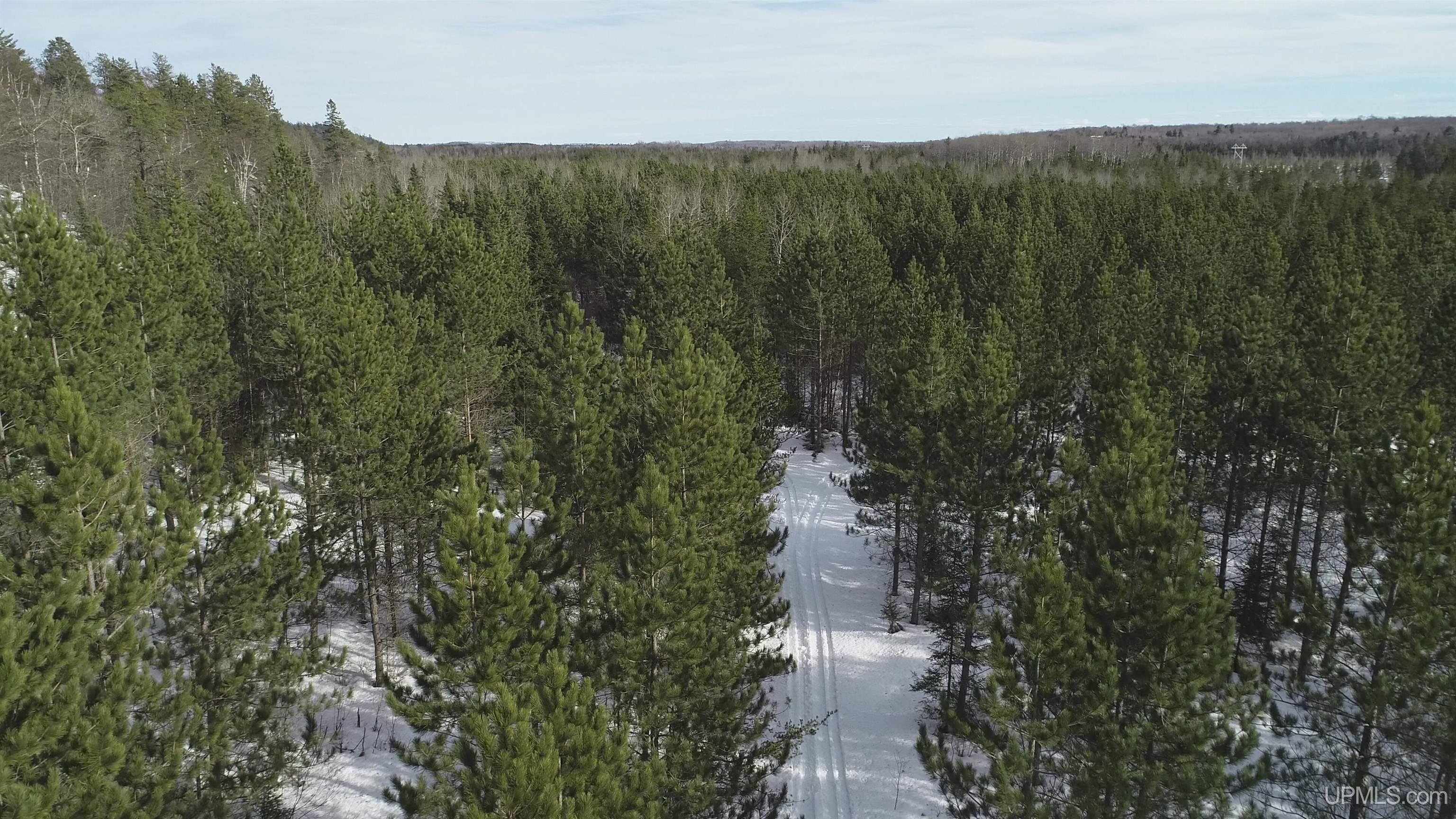 40 Acres Off County Cv Road, Champion, MI, 49814