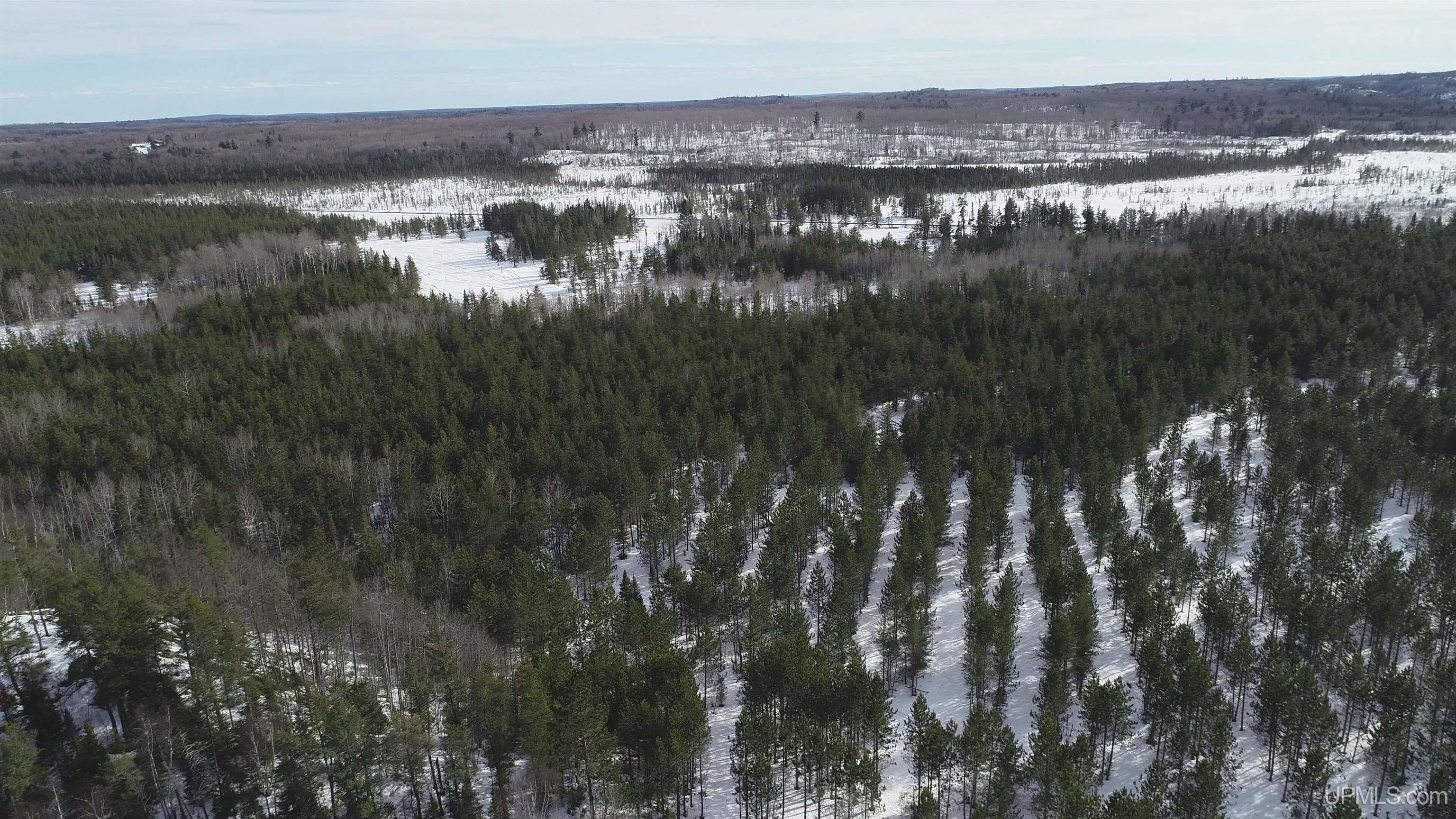 40 Acres Off County Cv Road, Champion, MI, 49814