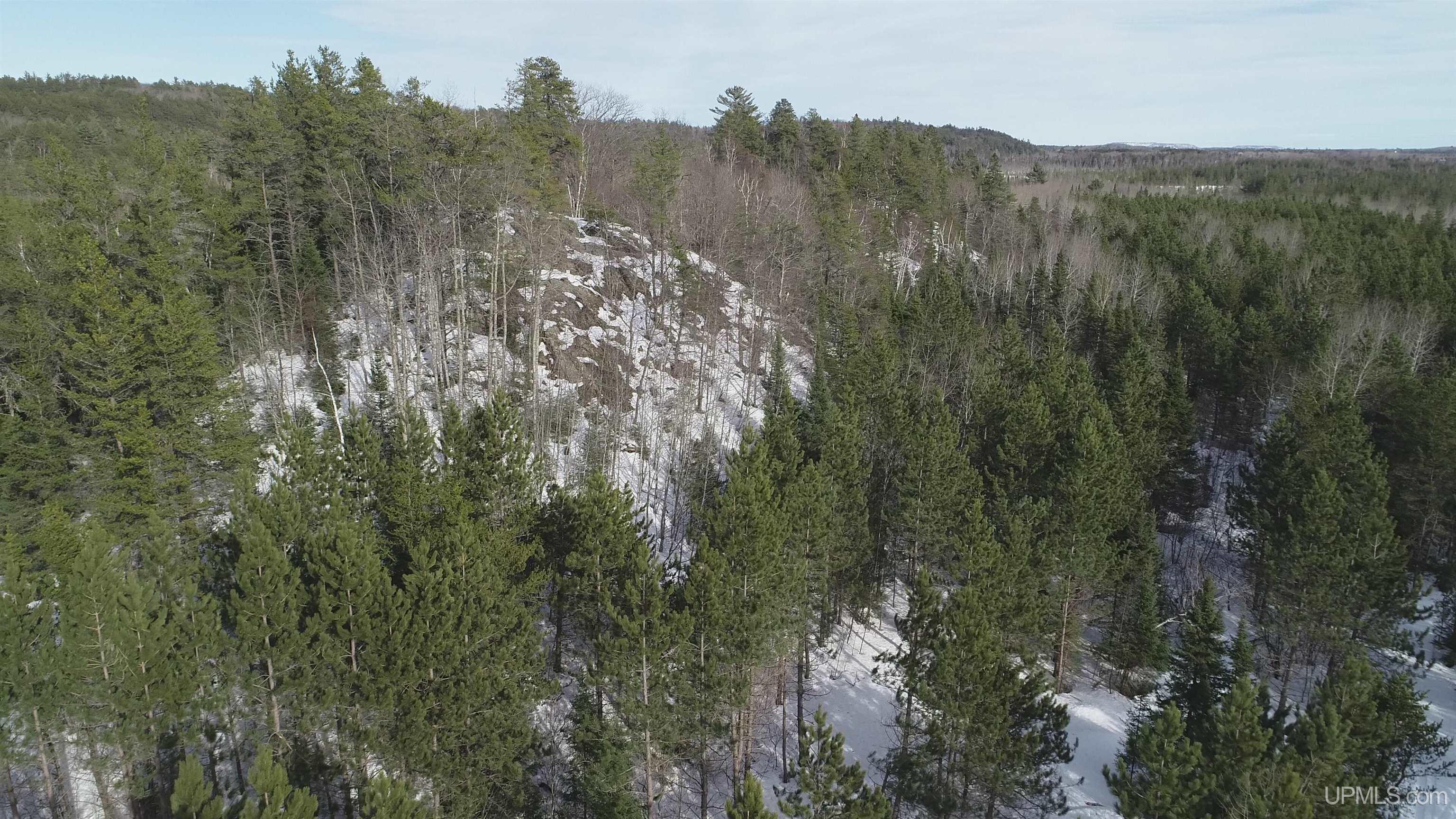 40 Acres Off County Cv Road, Champion, MI, 49814