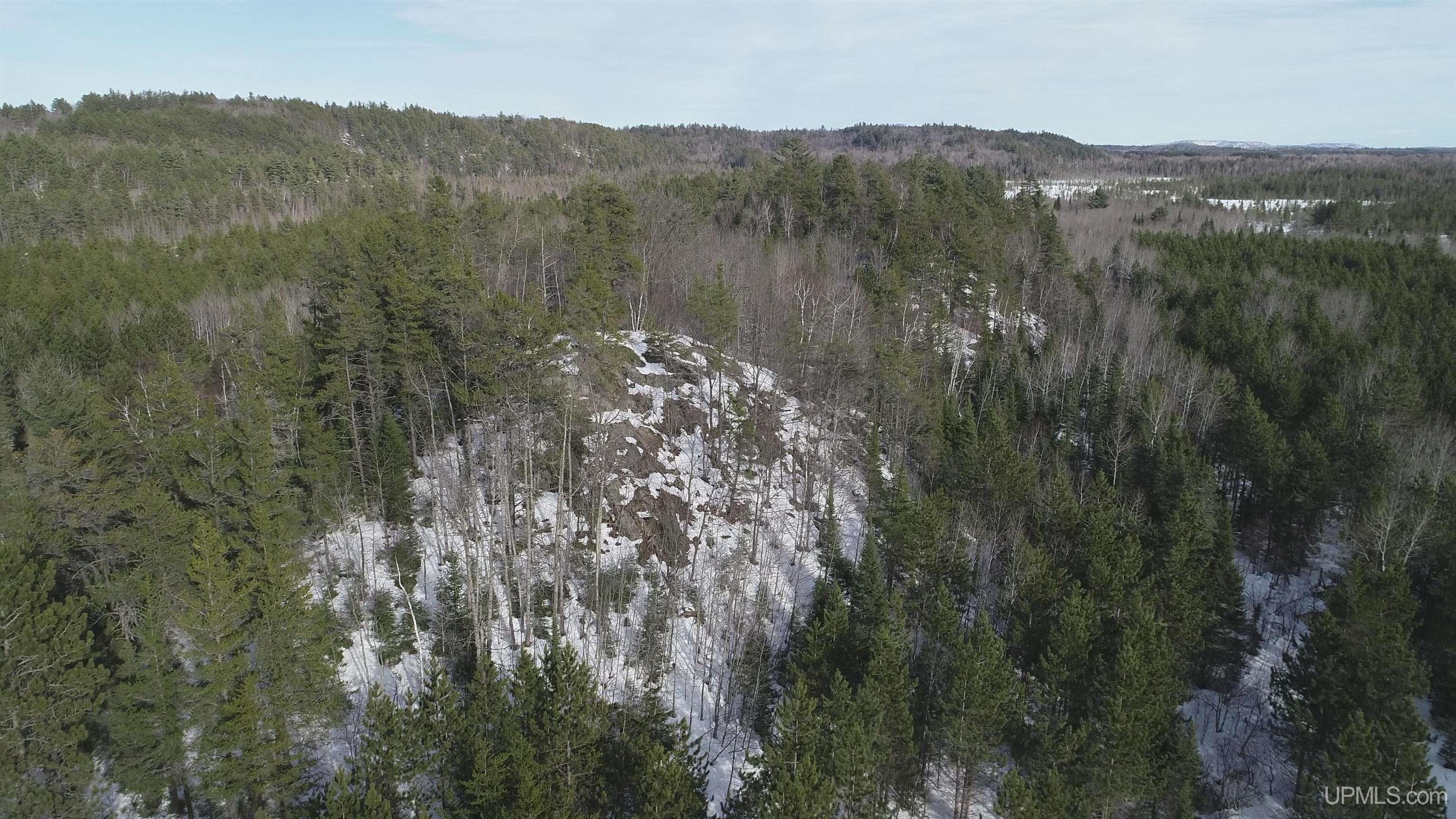 40 Acres Off County Cv Road, Champion, MI, 49814