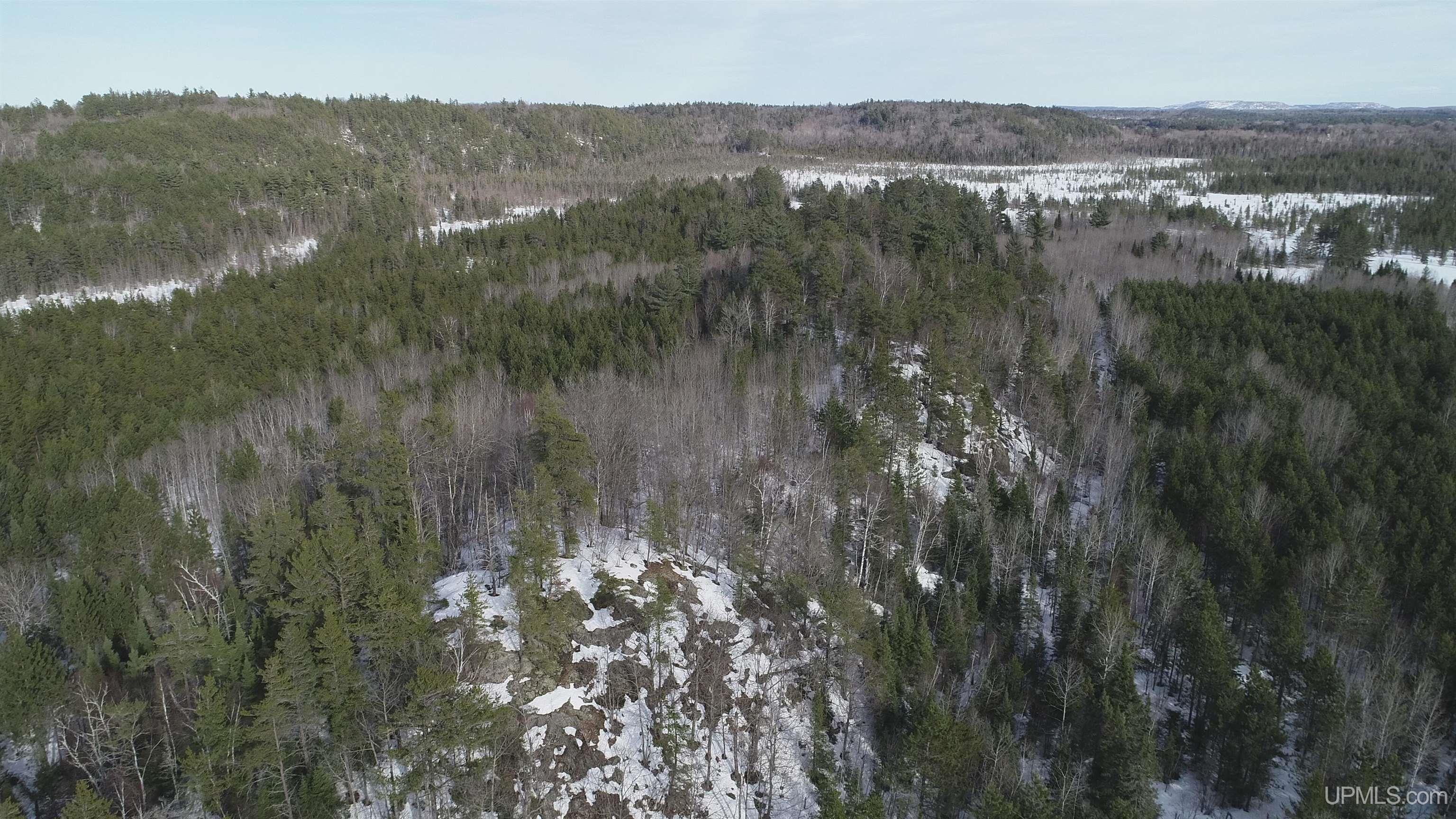 40 Acres Off County Cv Road, Champion, MI, 49814