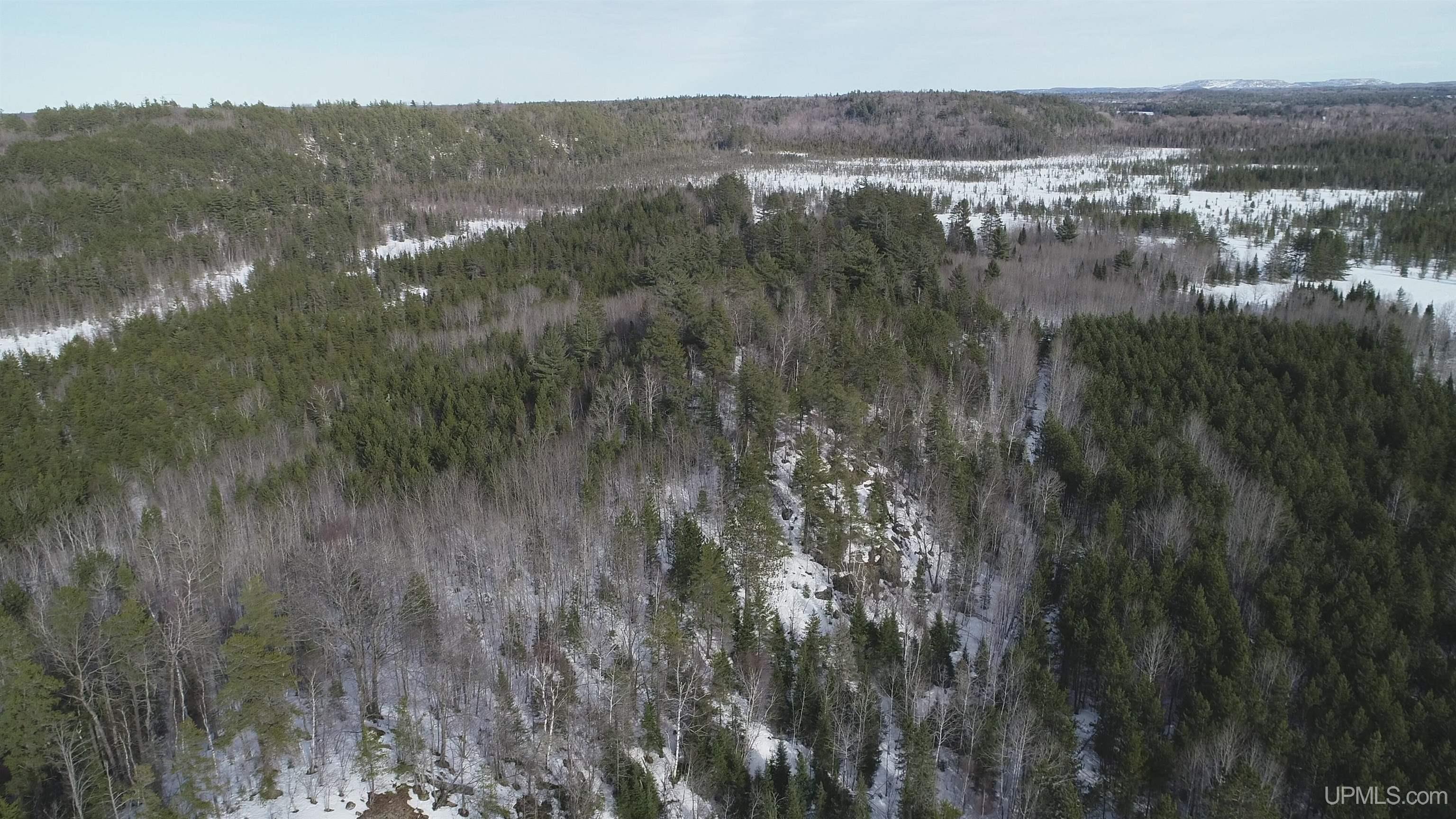 40 Acres Off County Cv Road, Champion, MI, 49814