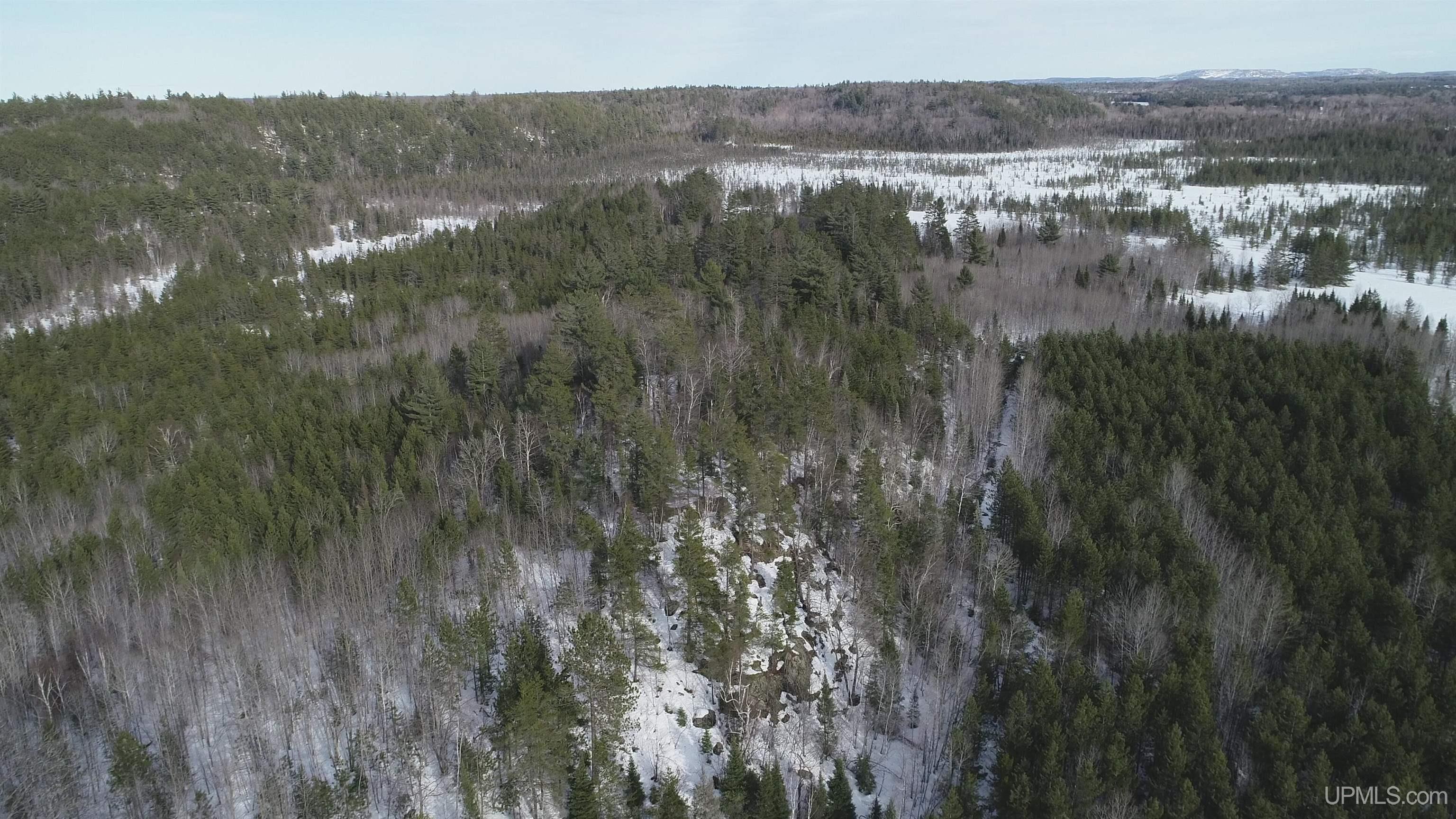 40 Acres Off County Cv Road, Champion, MI, 49814