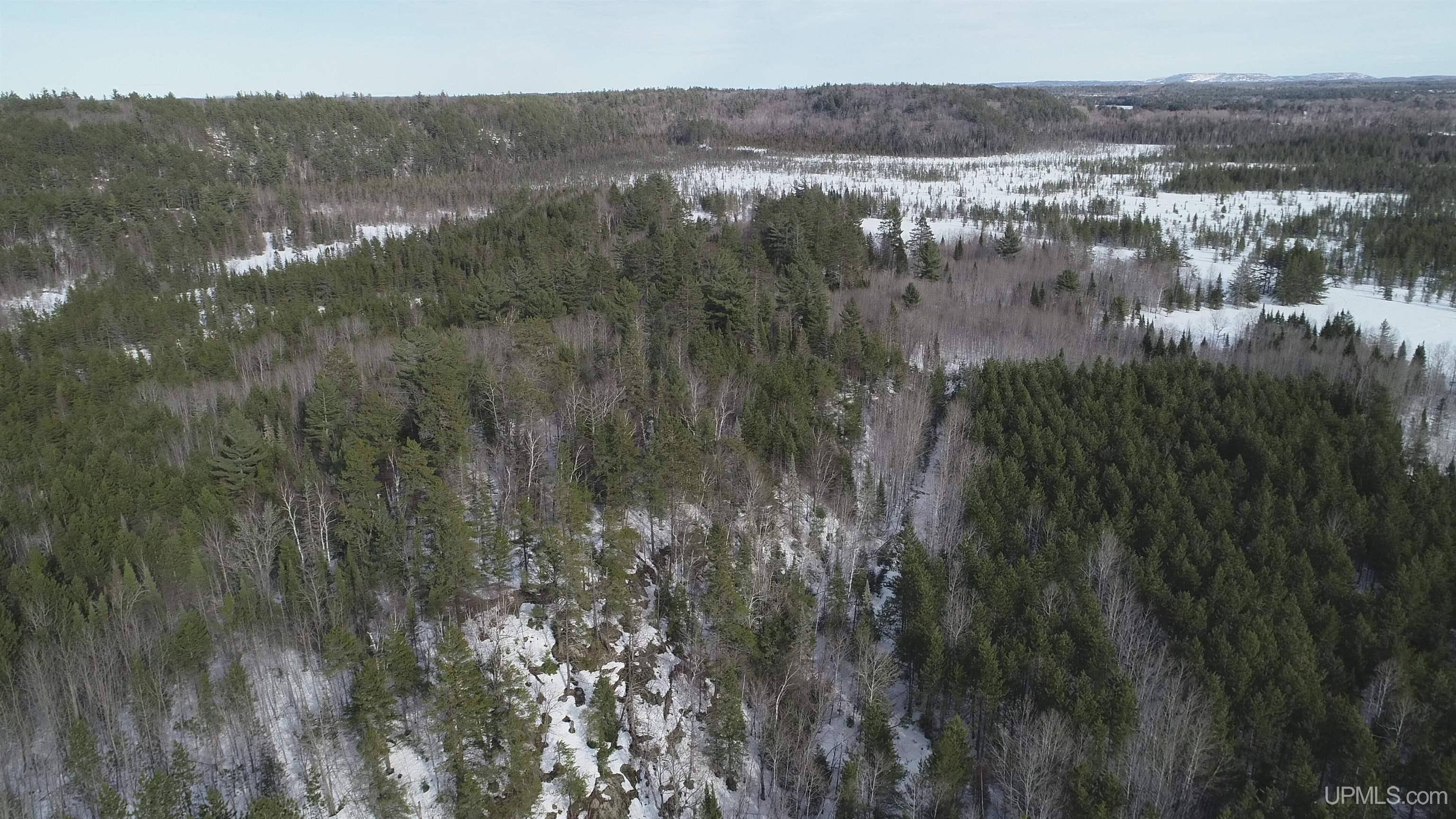 40 Acres Off County Cv Road, Champion, MI, 49814