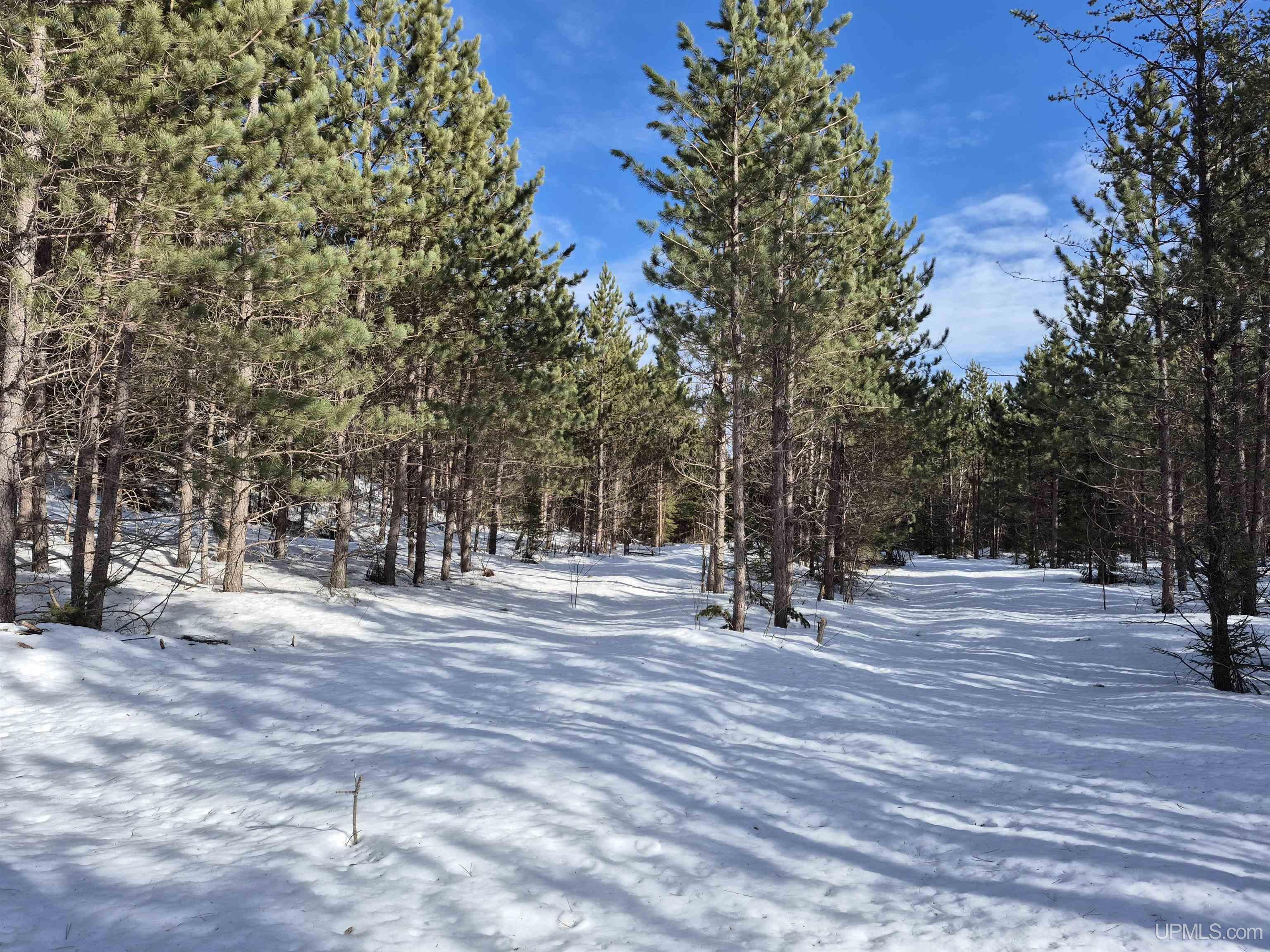 40 Acres Off County Cv Road, Champion, MI, 49814