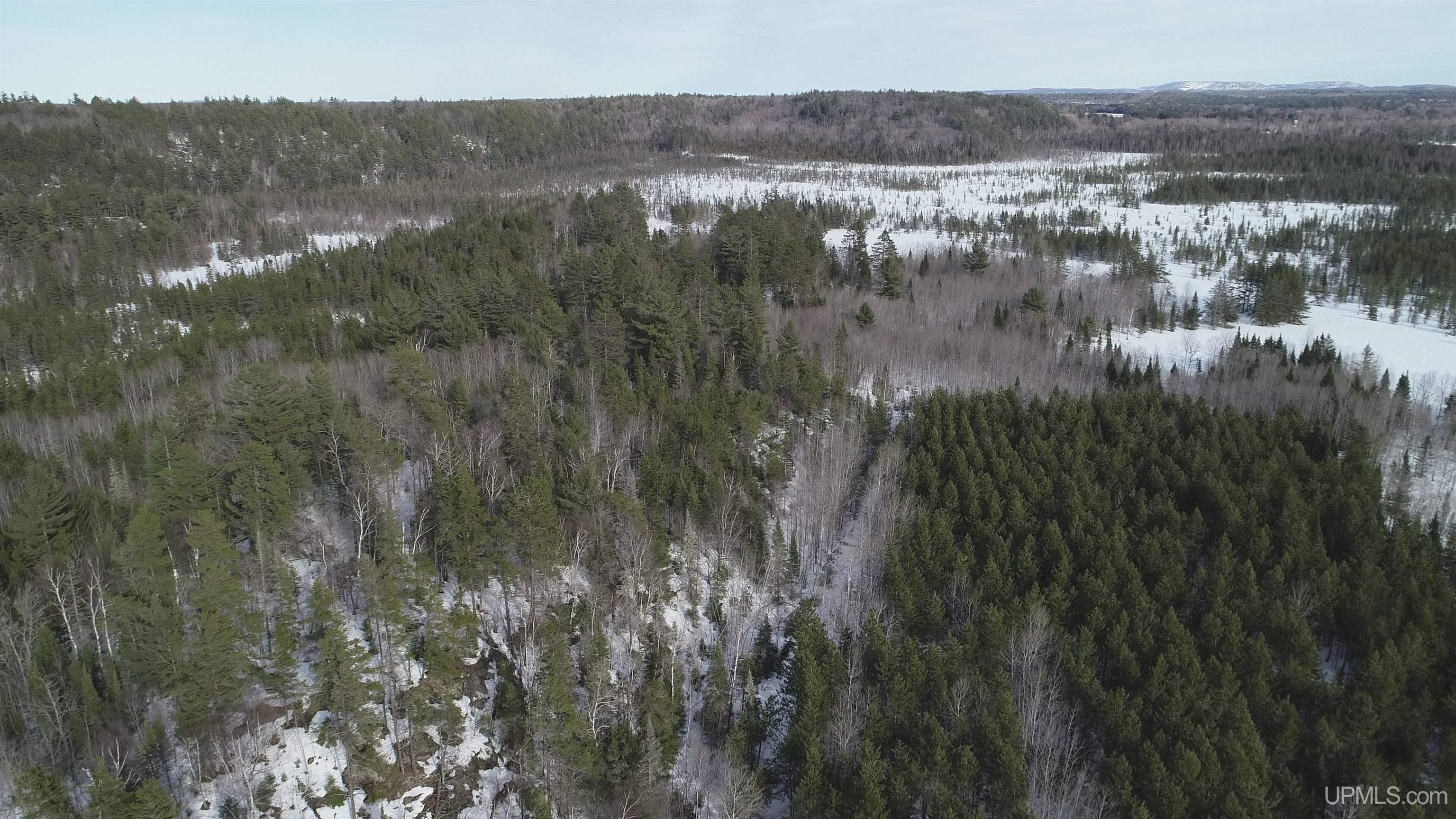 40 Acres Off County Cv Road, Champion, MI, 49814