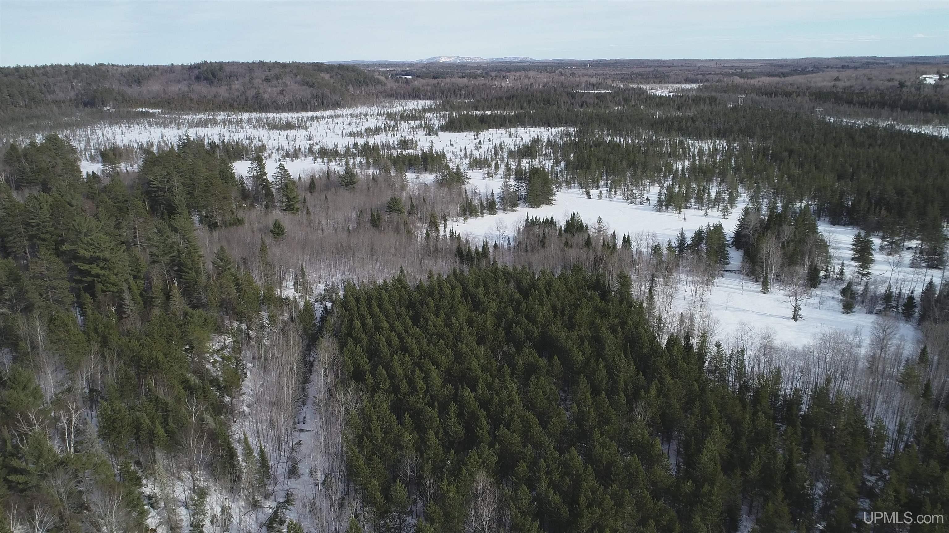 40 Acres Off County Cv Road, Champion, MI, 49814