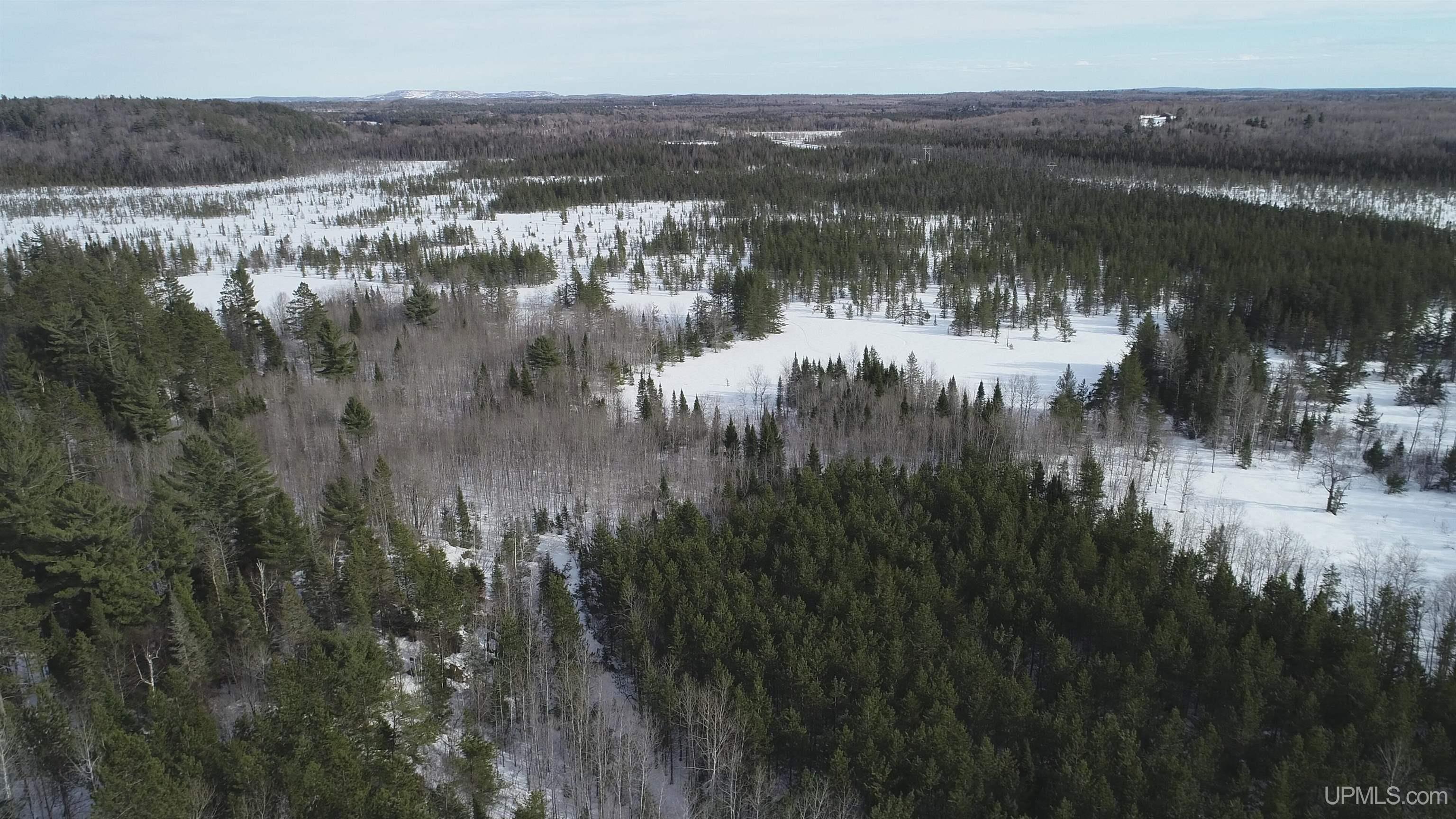 40 Acres Off County Cv Road, Champion, MI, 49814