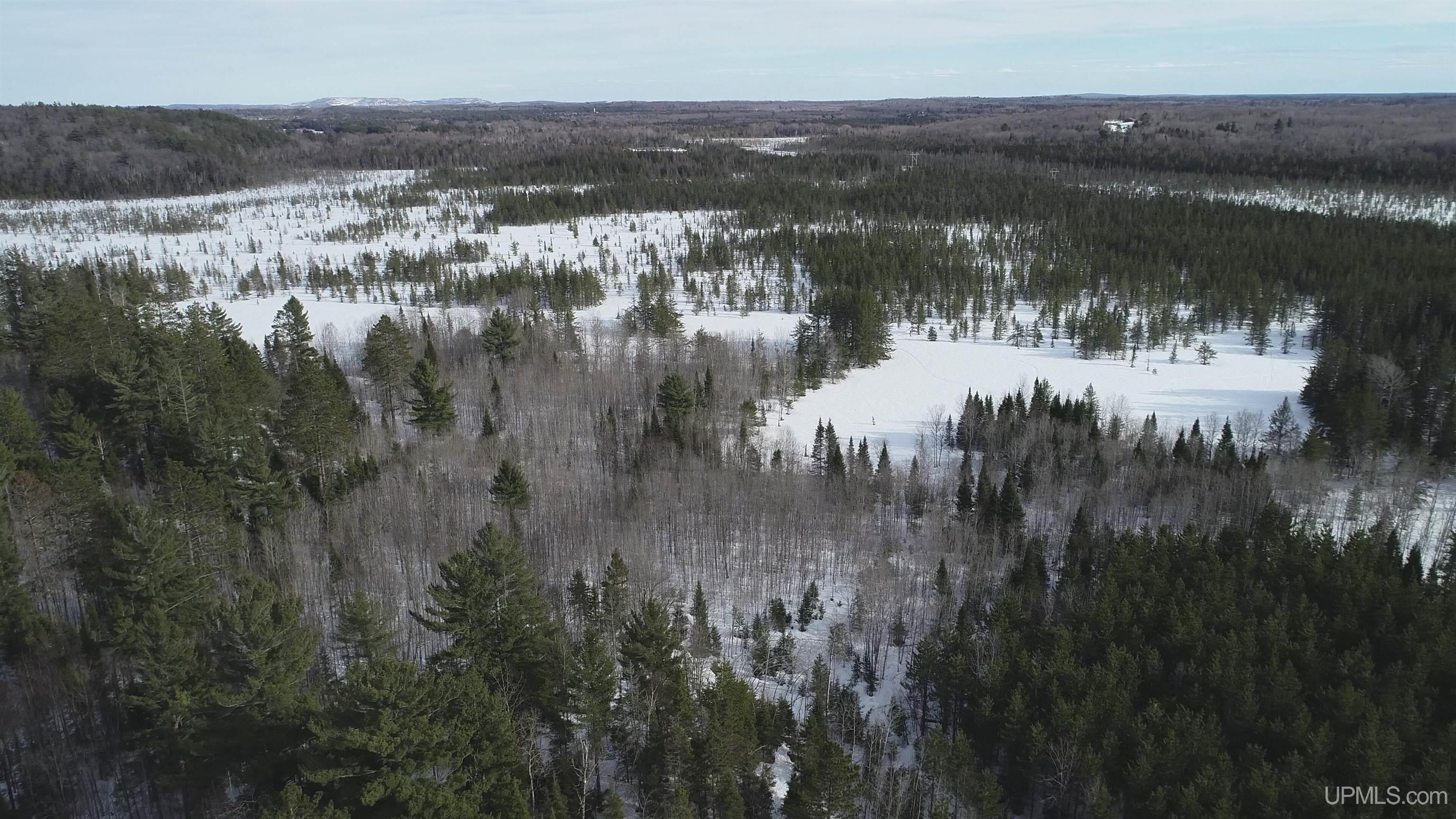 40 Acres Off County Cv Road, Champion, MI, 49814