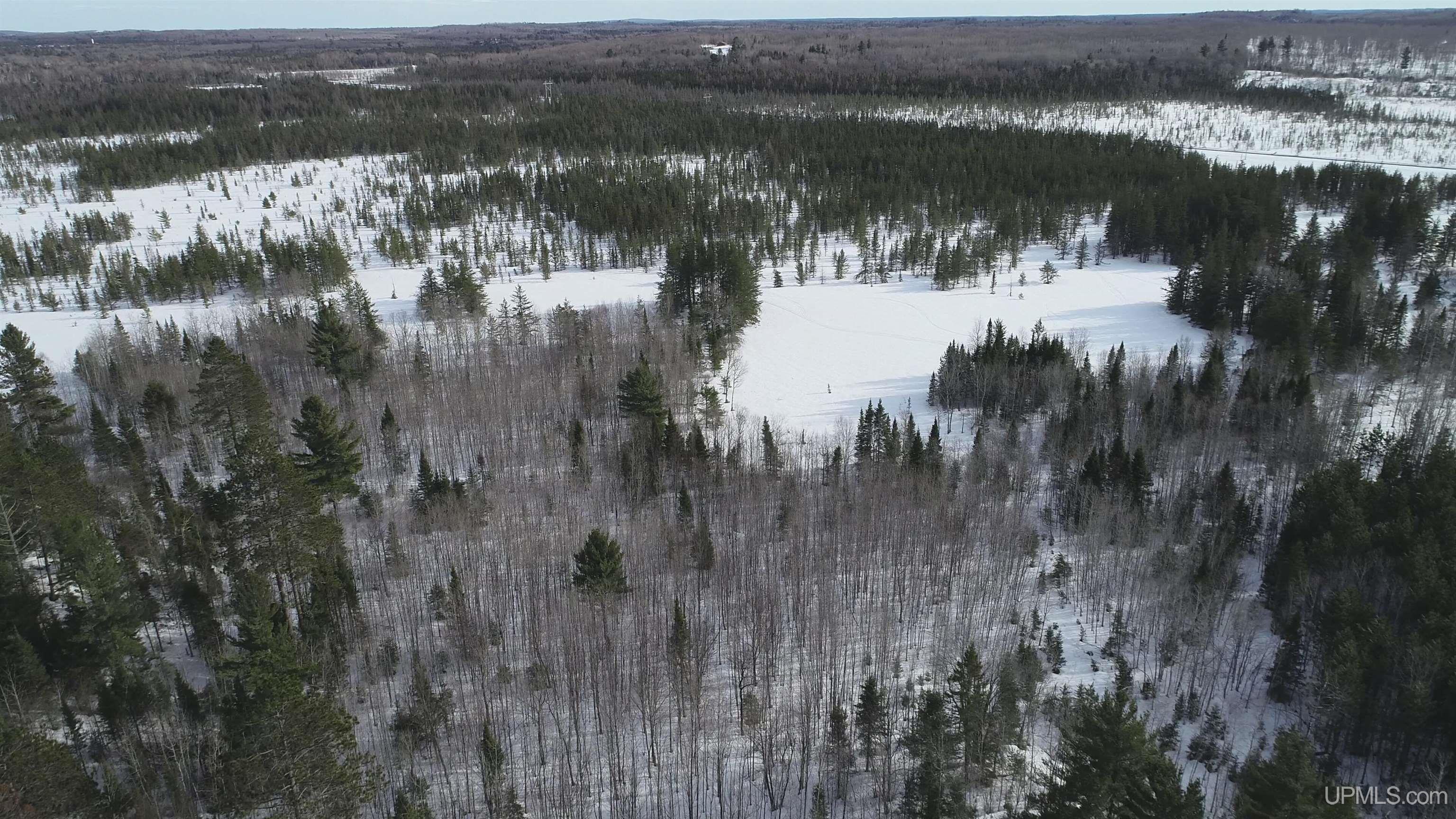 40 Acres Off County Cv Road, Champion, MI, 49814