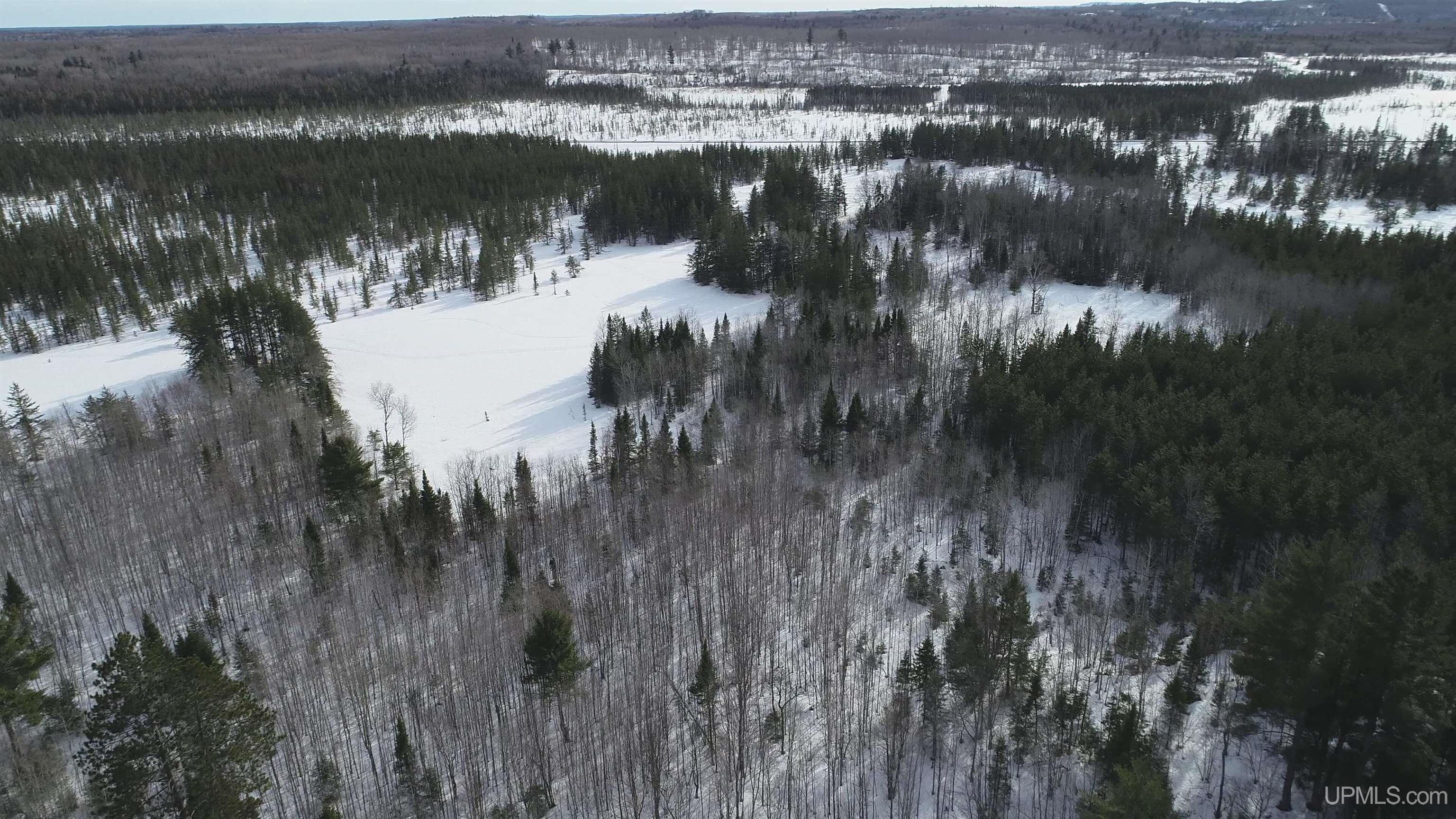 40 Acres Off County Cv Road, Champion, MI, 49814