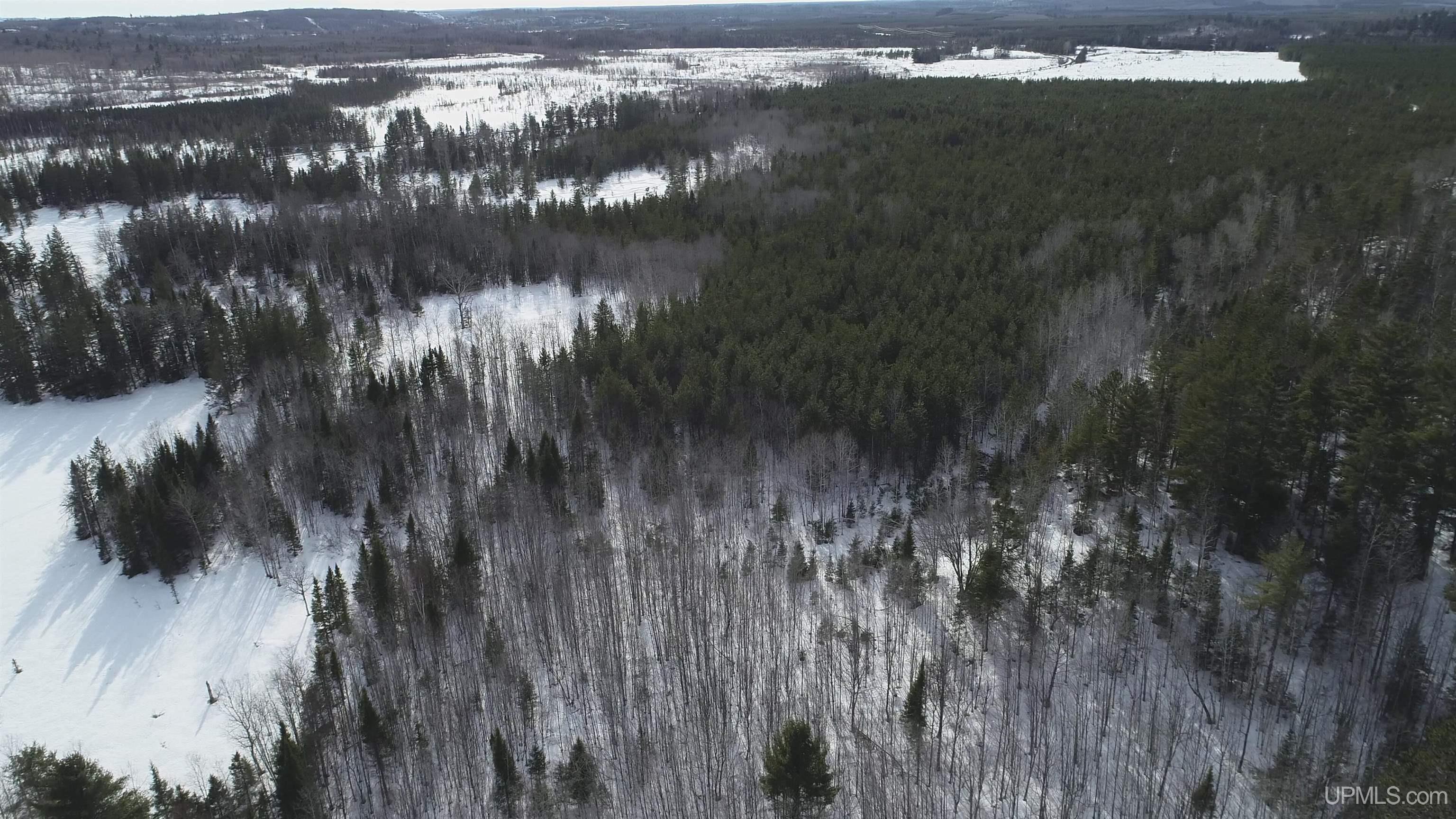 40 Acres Off County Cv Road, Champion, MI, 49814