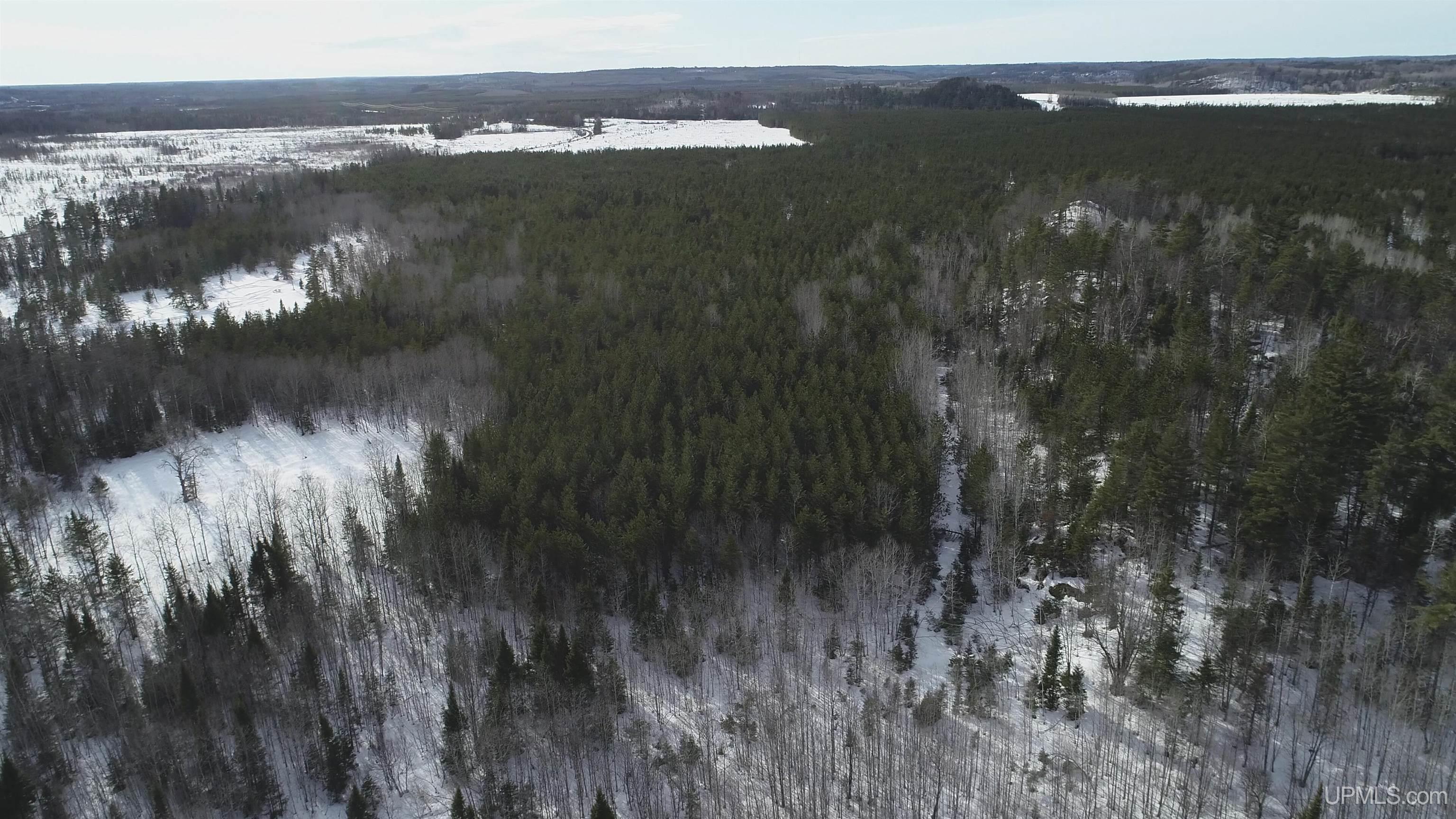 40 Acres Off County Cv Road, Champion, MI, 49814