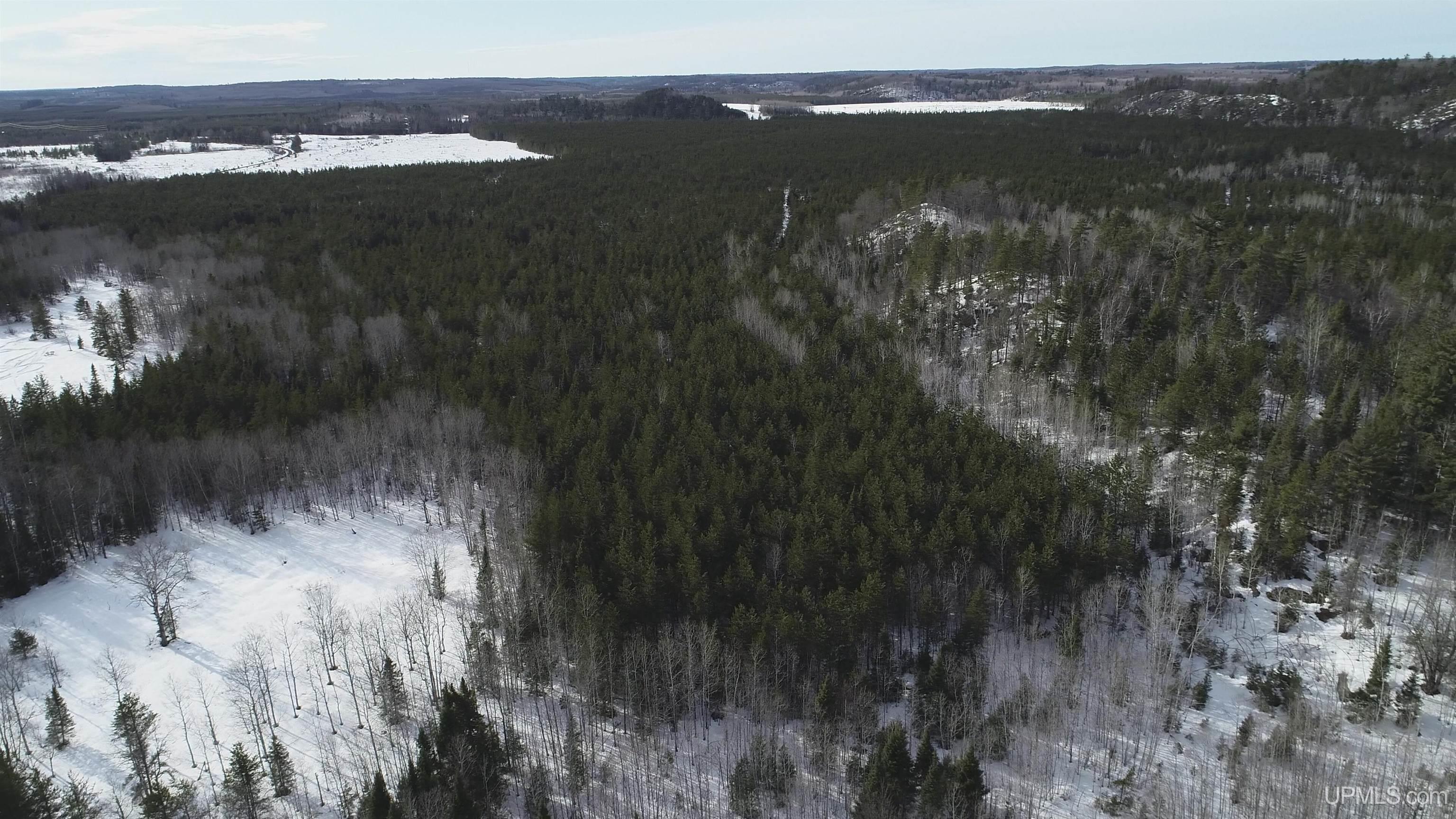 40 Acres Off County Cv Road, Champion, MI, 49814