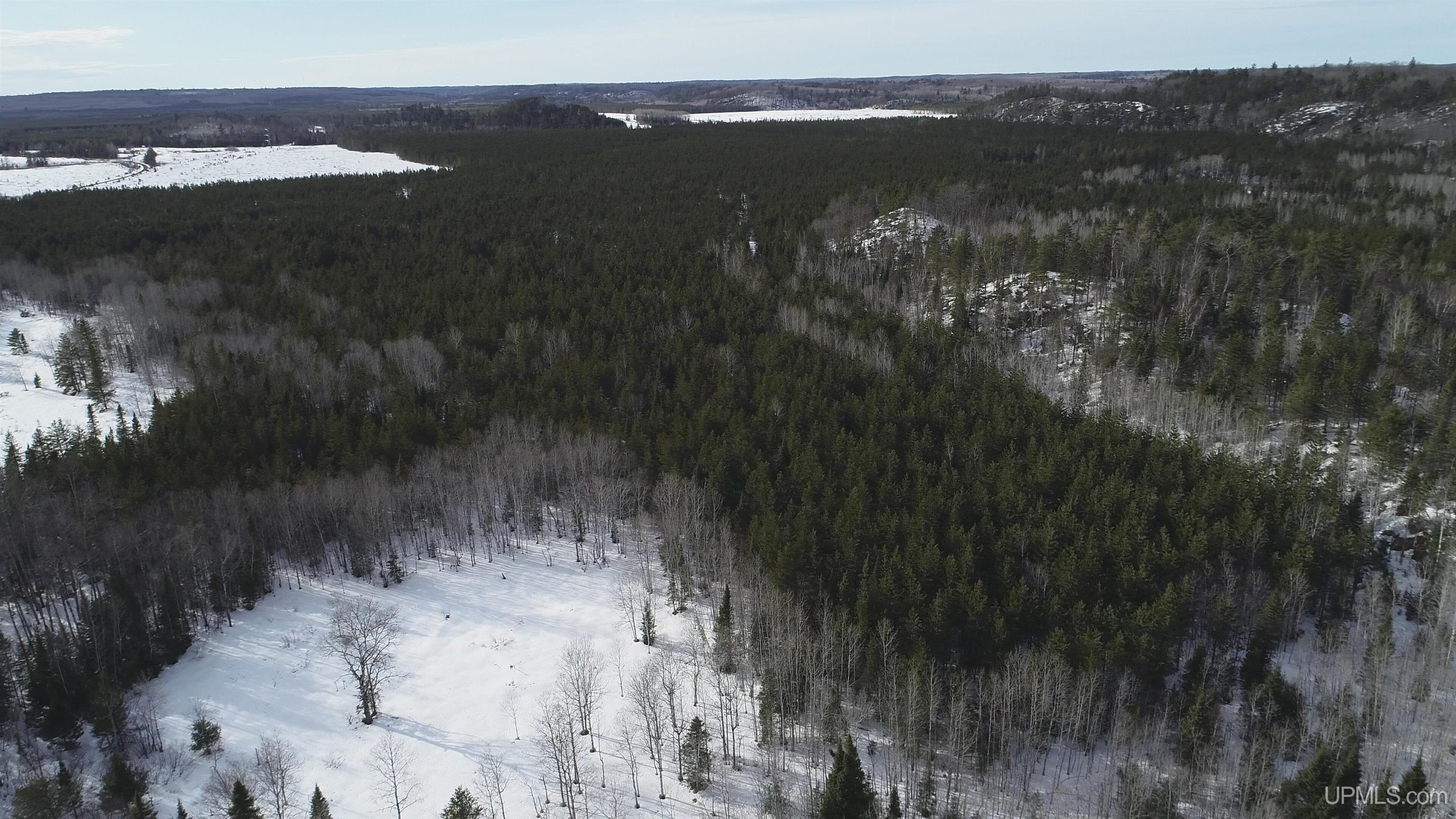 40 Acres Off County Cv Road, Champion, MI, 49814