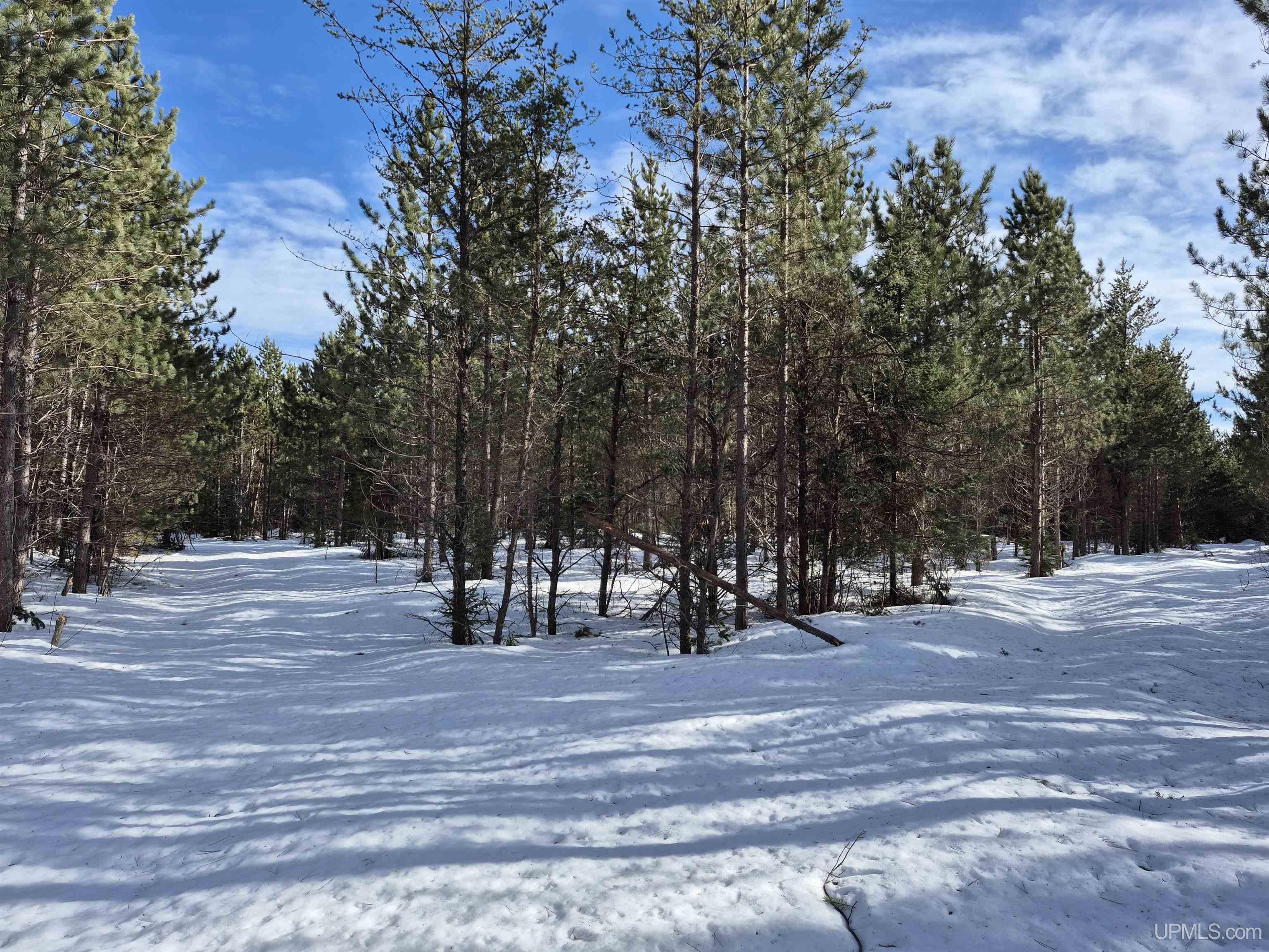 40 Acres Off County Cv Road, Champion, MI, 49814