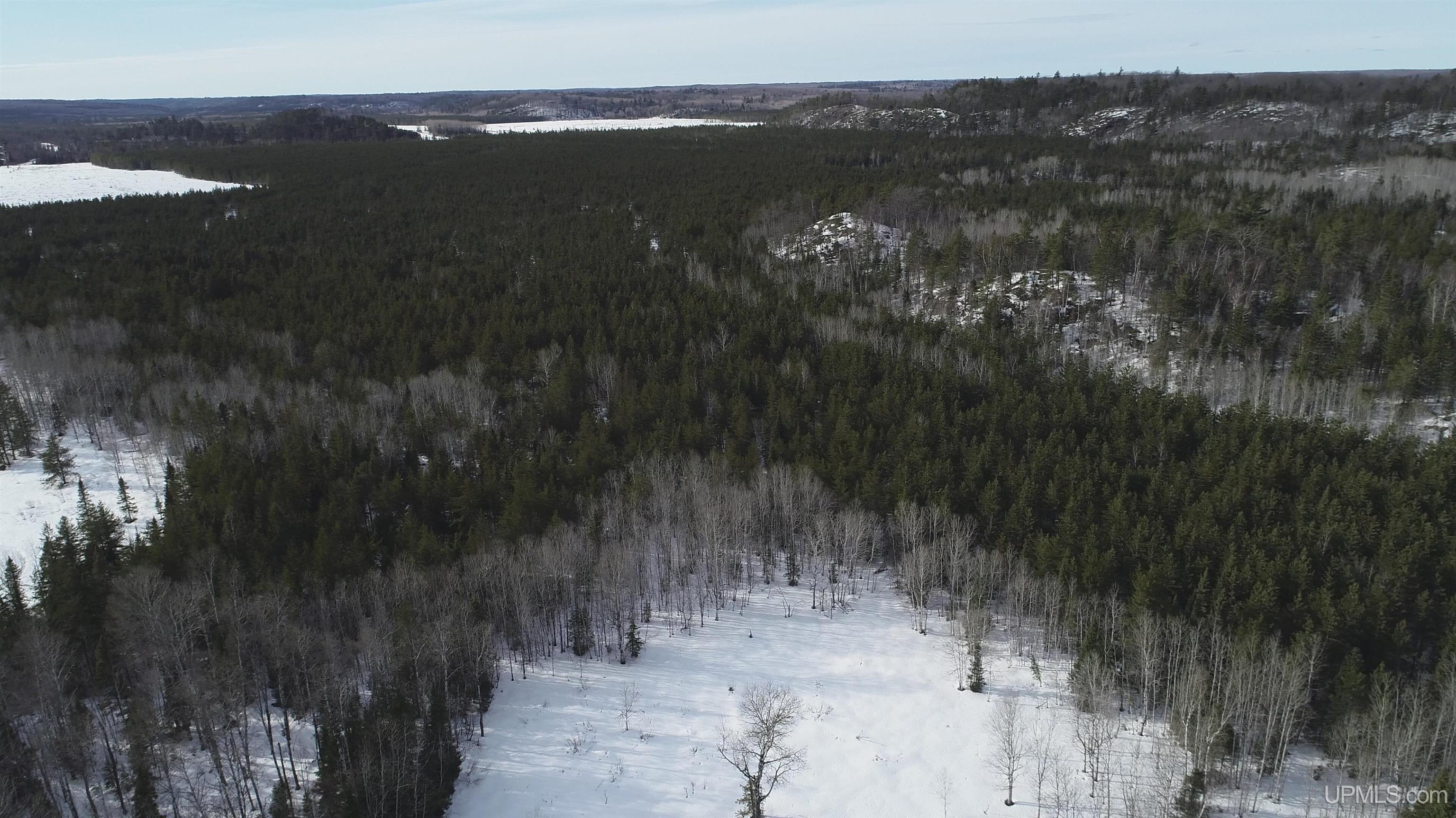 40 Acres Off County Cv Road, Champion, MI, 49814