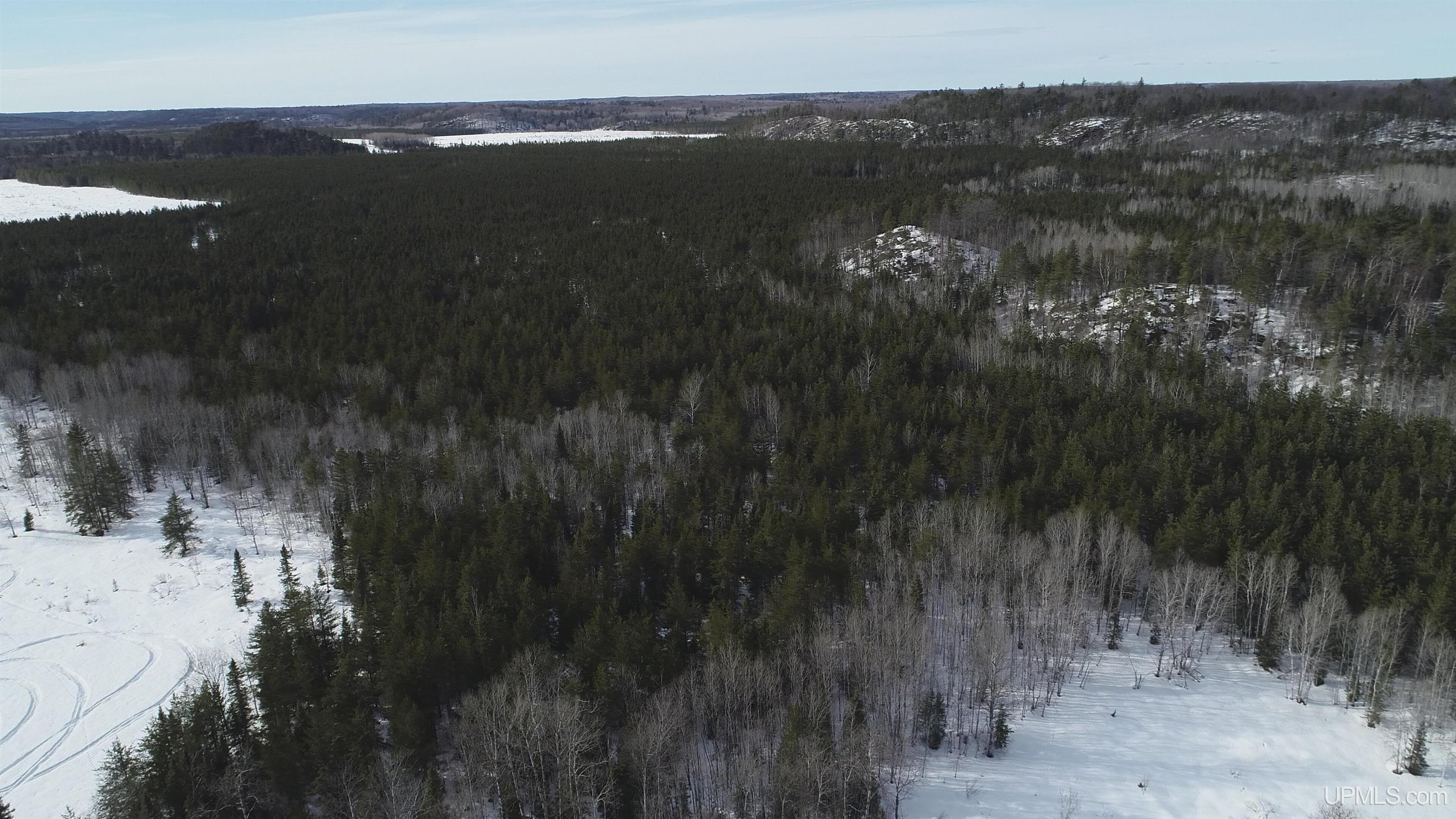 40 Acres Off County Cv Road, Champion, MI, 49814