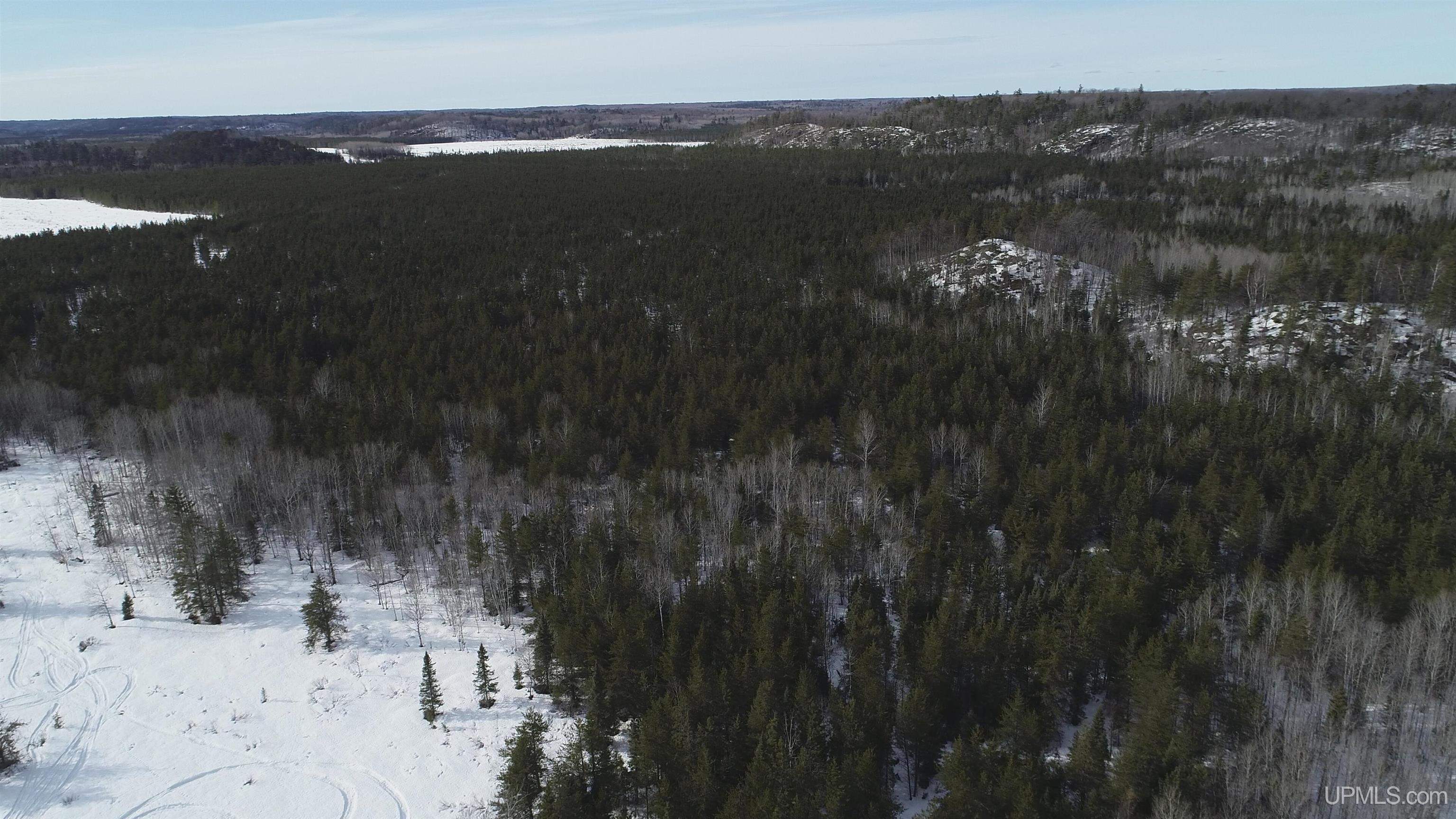 40 Acres Off County Cv Road, Champion, MI, 49814