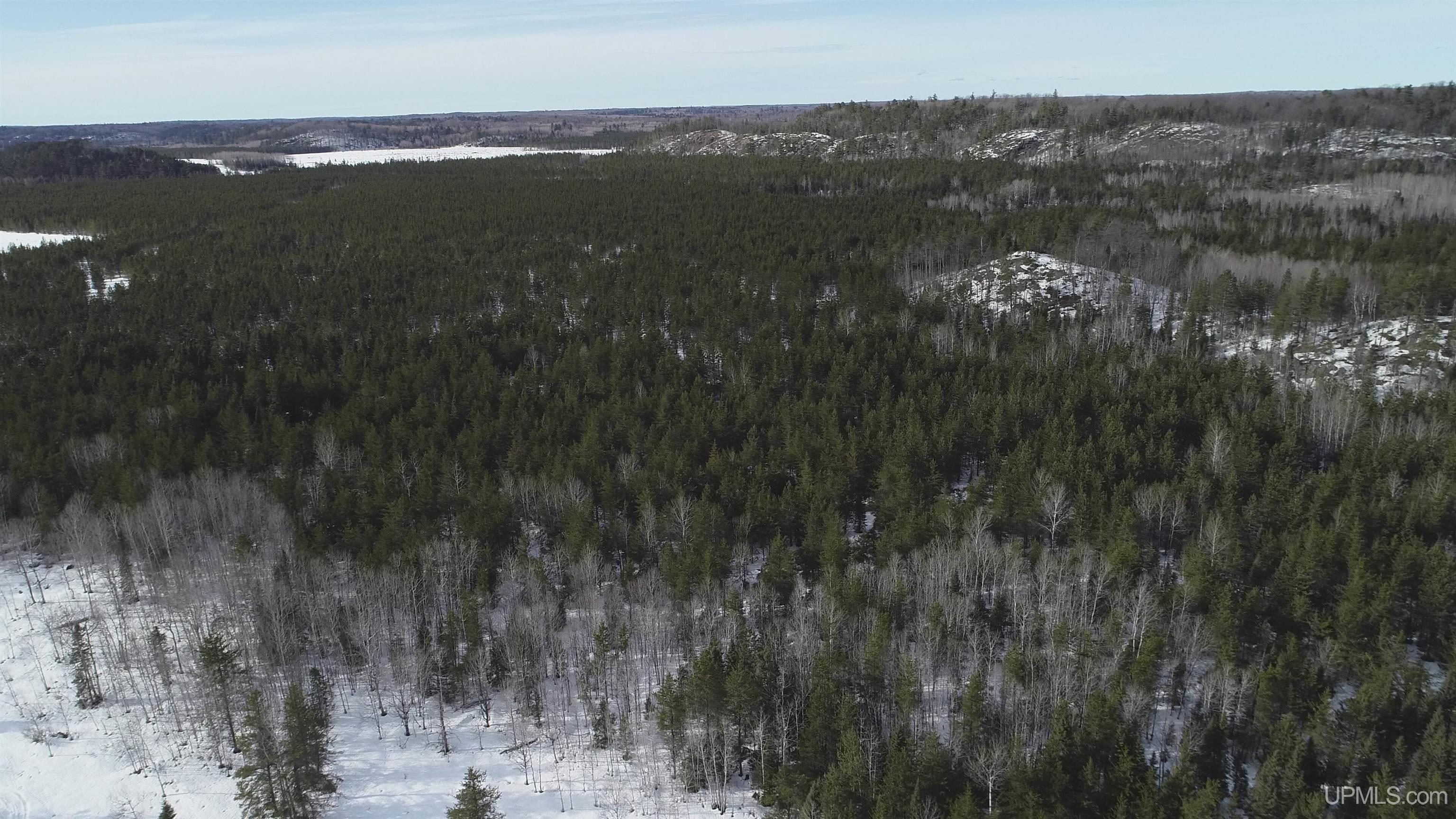 40 Acres Off County Cv Road, Champion, MI, 49814