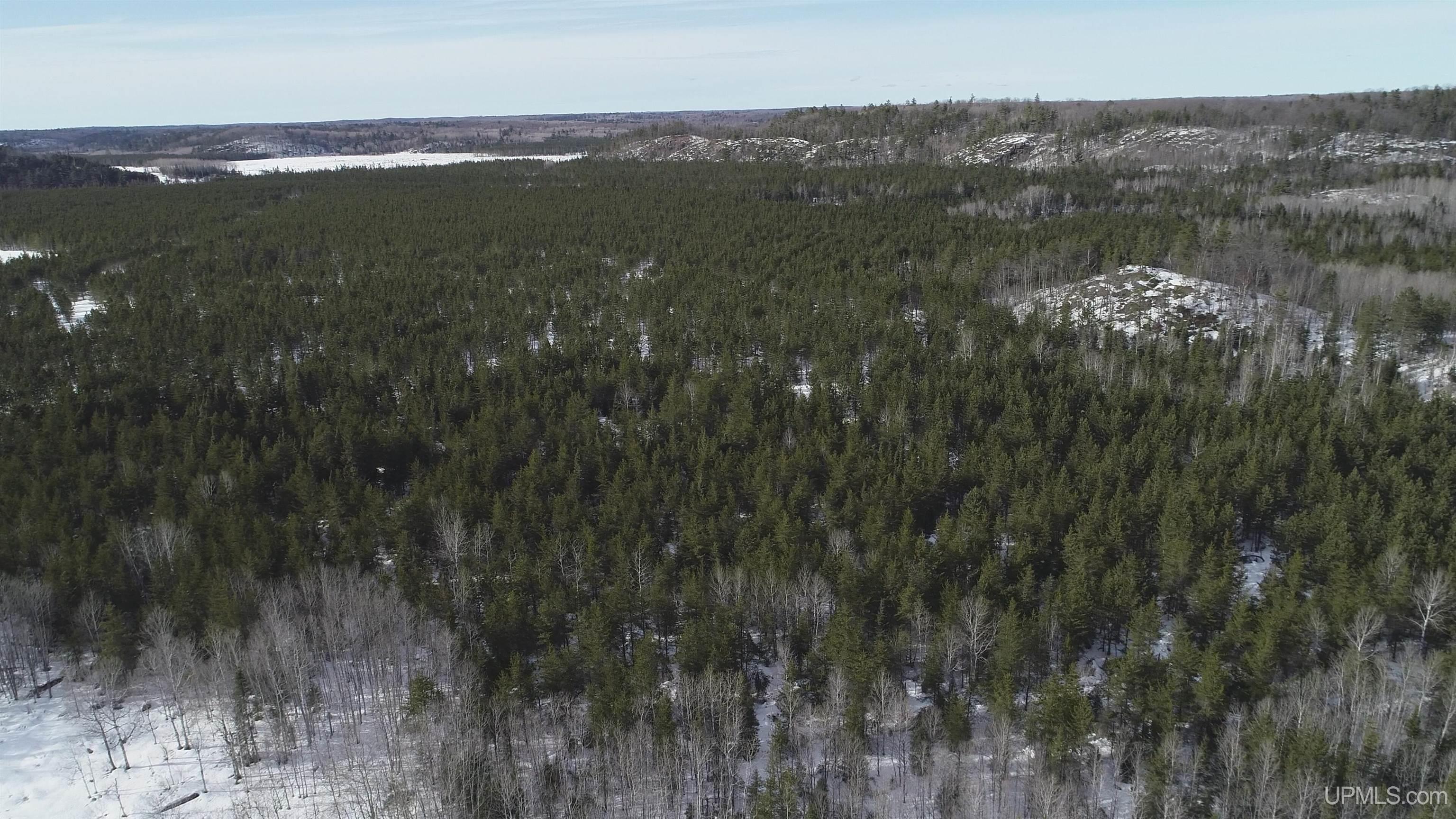 40 Acres Off County Cv Road, Champion, MI, 49814