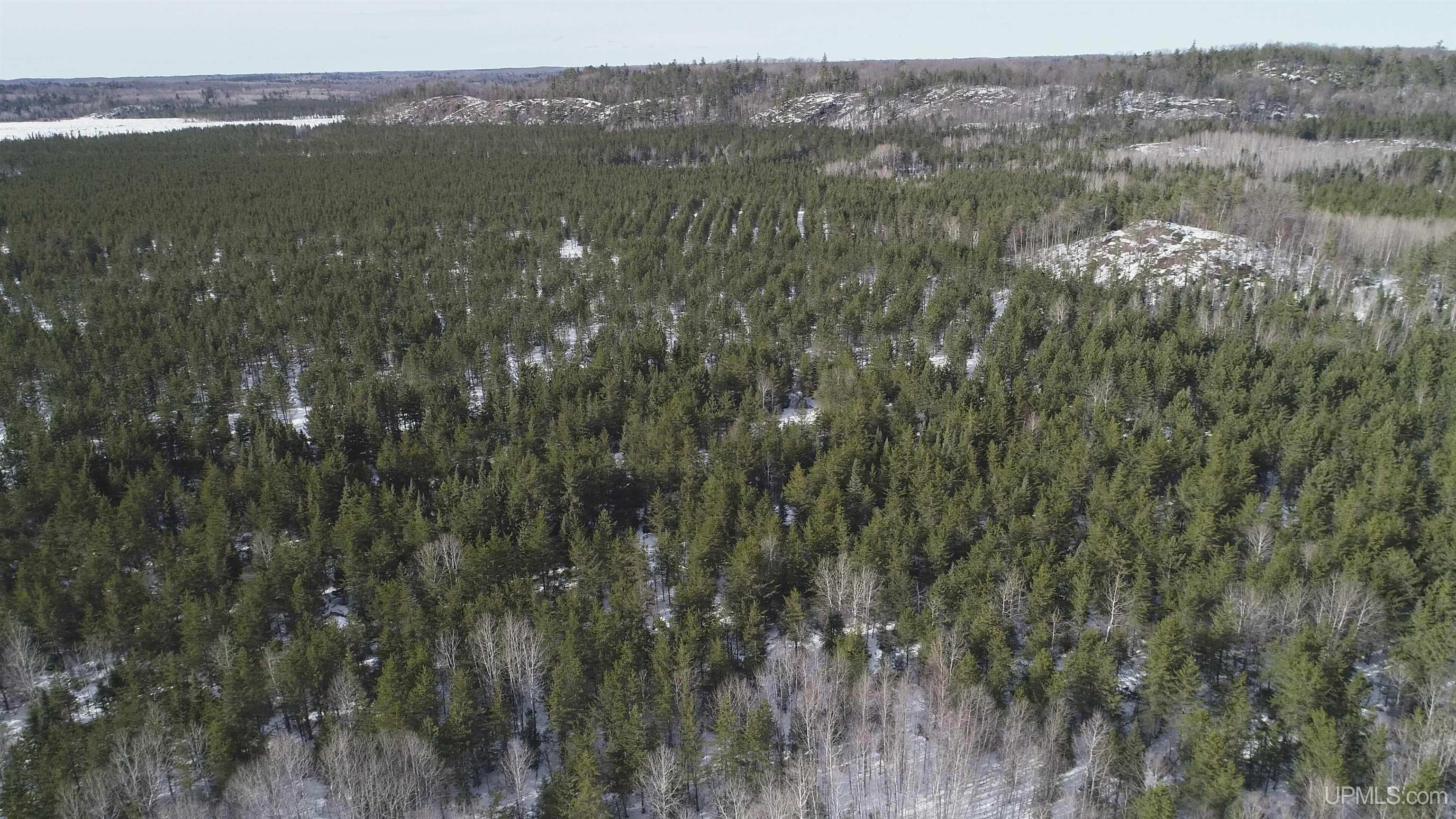 40 Acres Off County Cv Road, Champion, MI, 49814