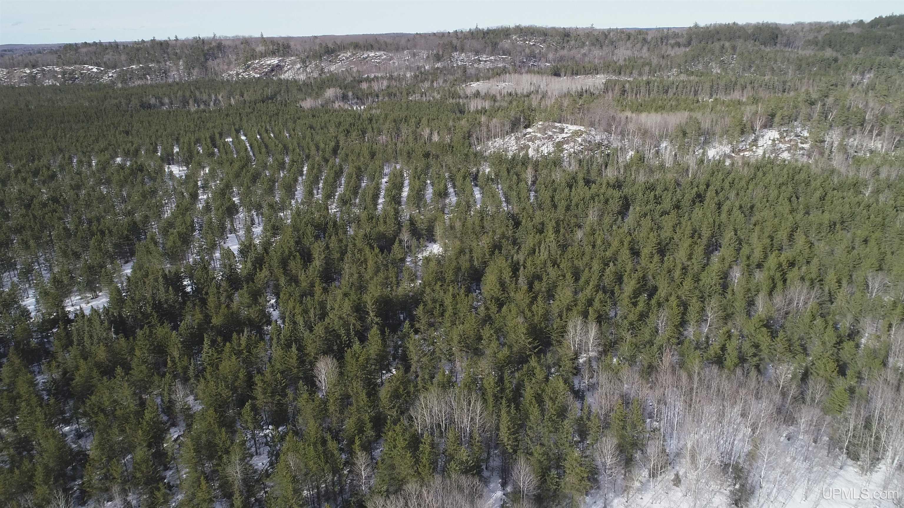 40 Acres Off County Cv Road, Champion, MI, 49814