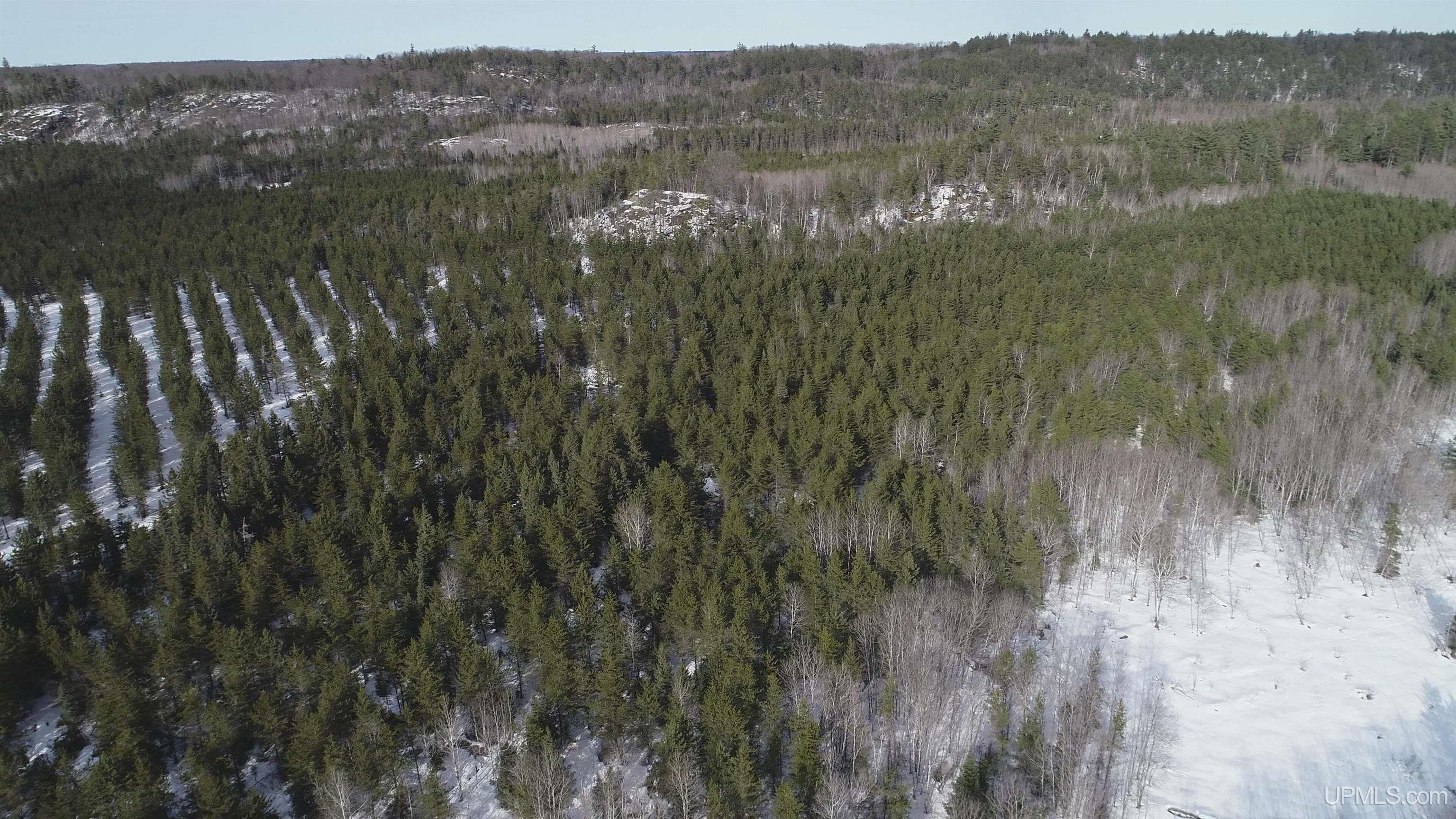 40 Acres Off County Cv Road, Champion, MI, 49814