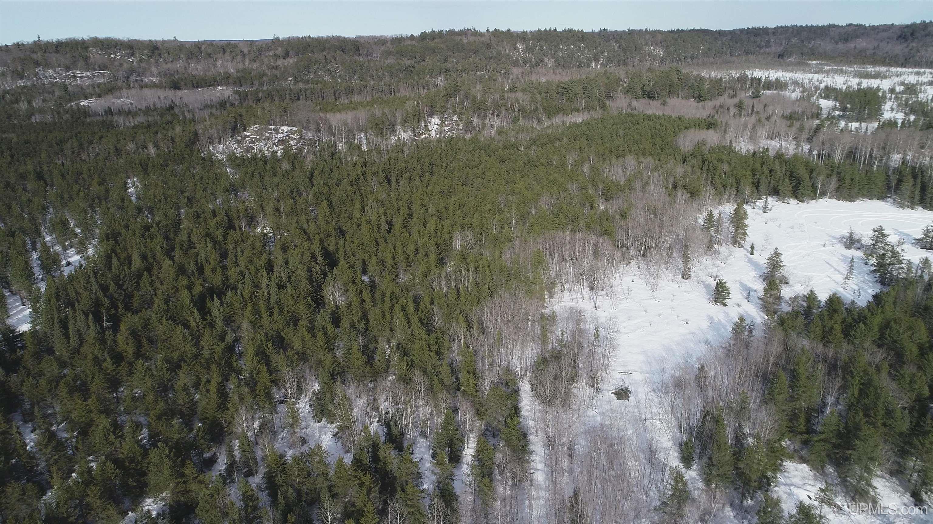 40 Acres Off County Cv Road, Champion, MI, 49814