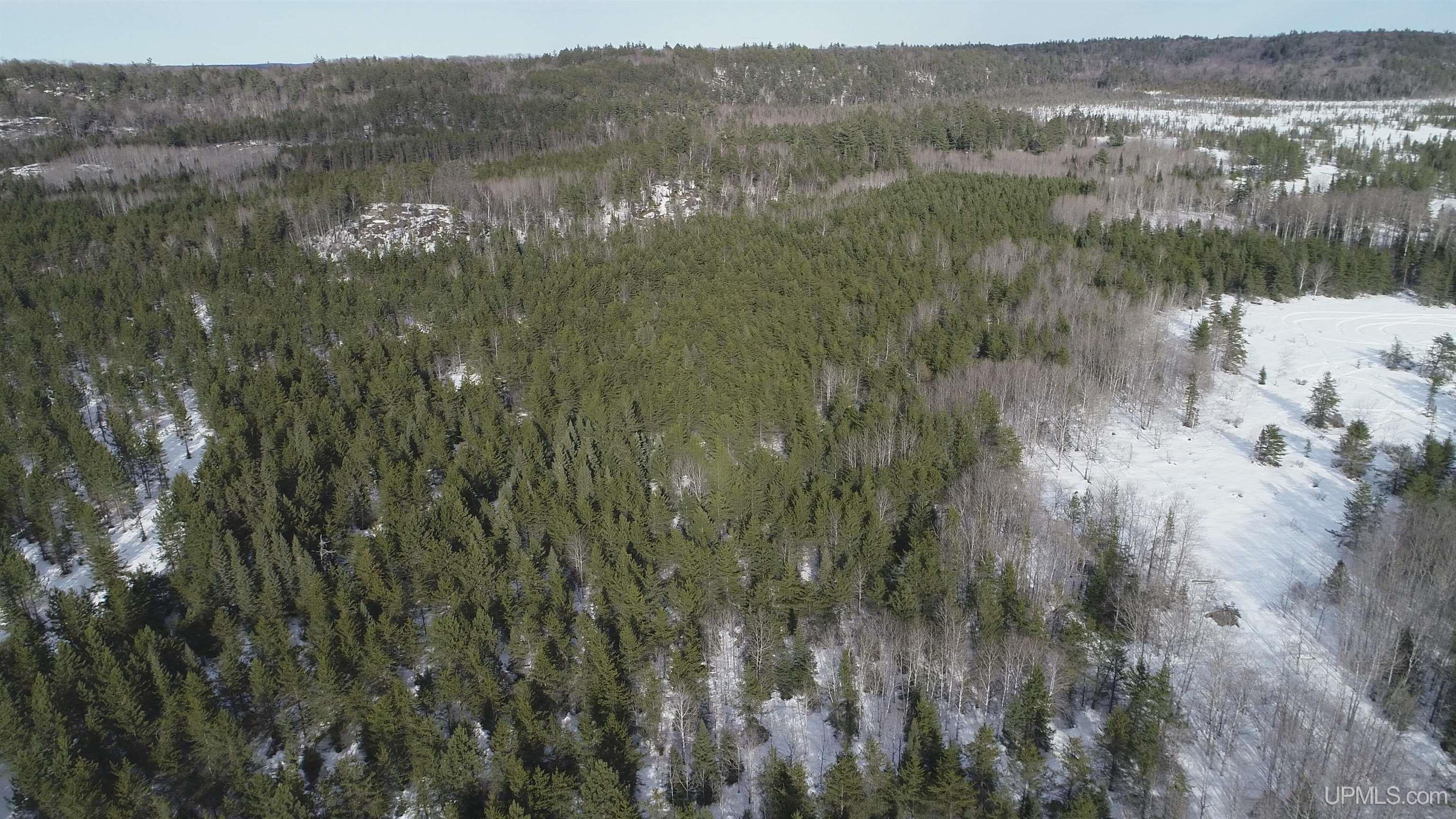 40 Acres Off County Cv Road, Champion, MI, 49814