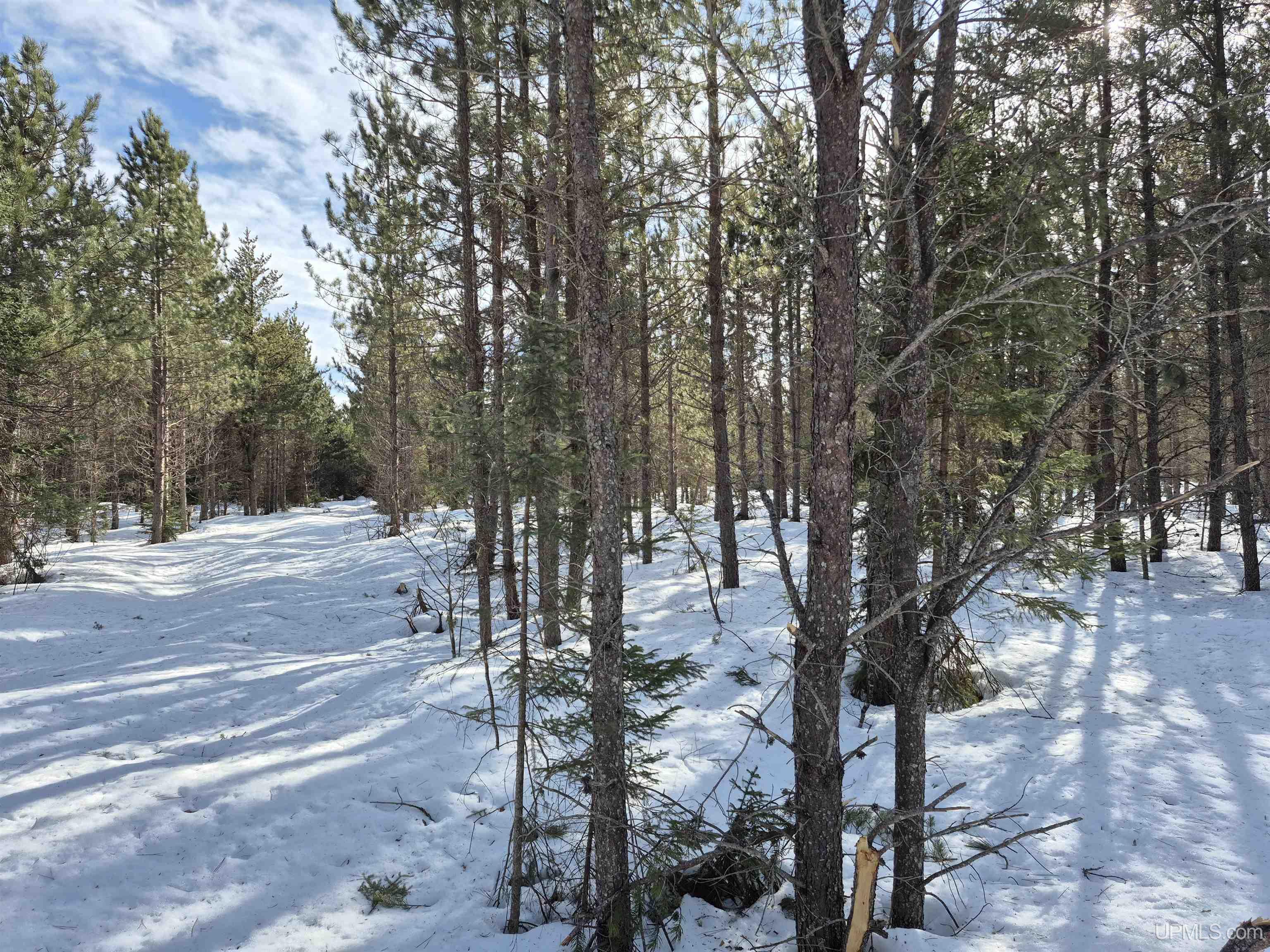 40 Acres Off County Cv Road, Champion, MI, 49814